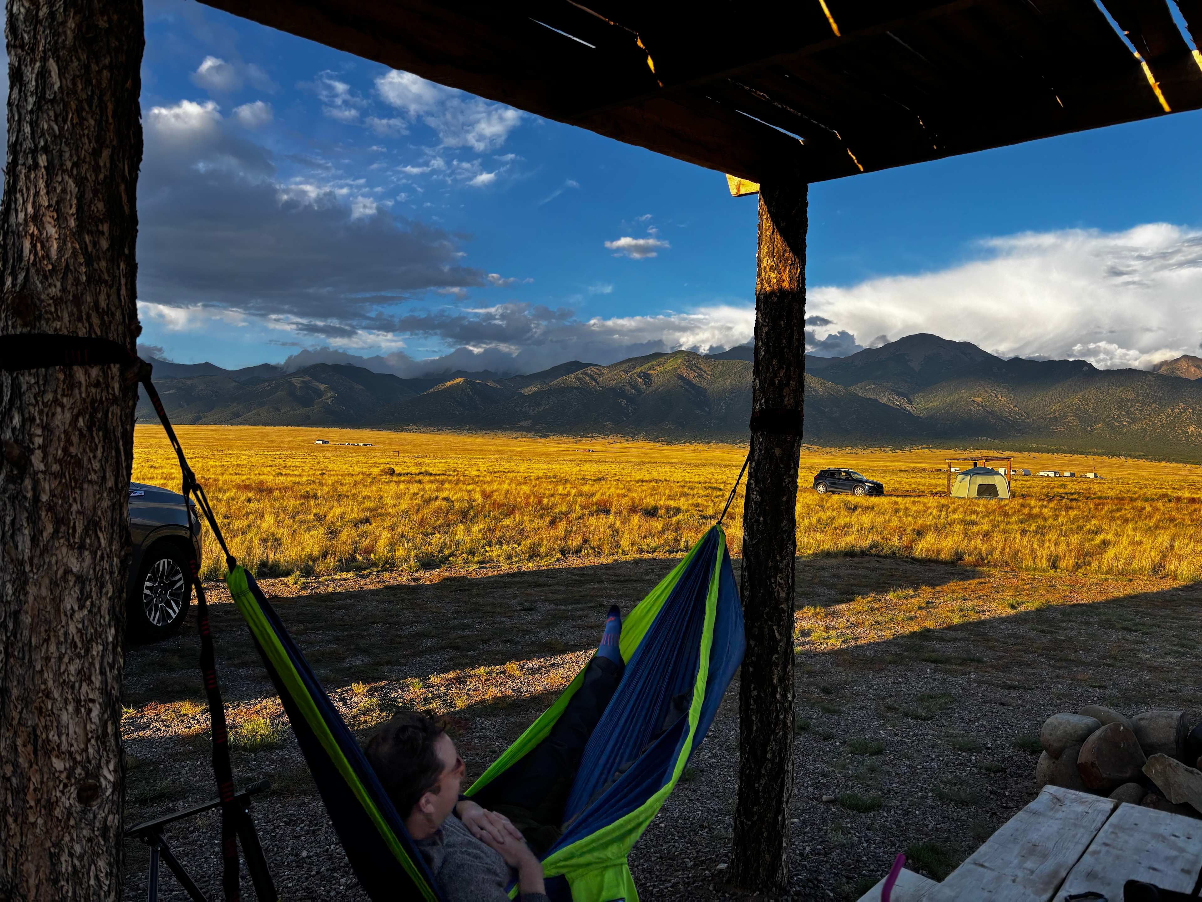 Mountain Bird Alpine Desert