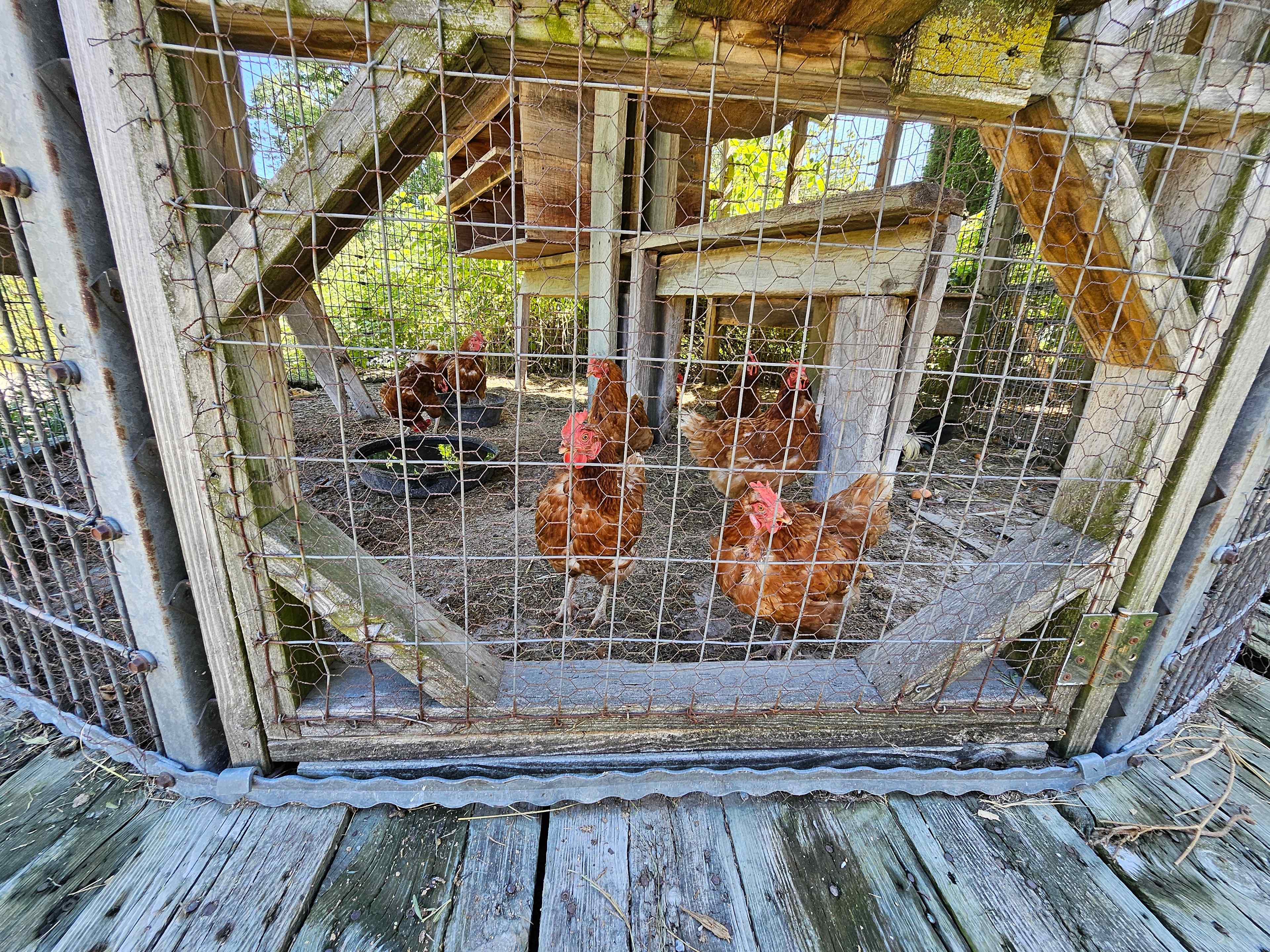 "Elysium Heritage Farm"