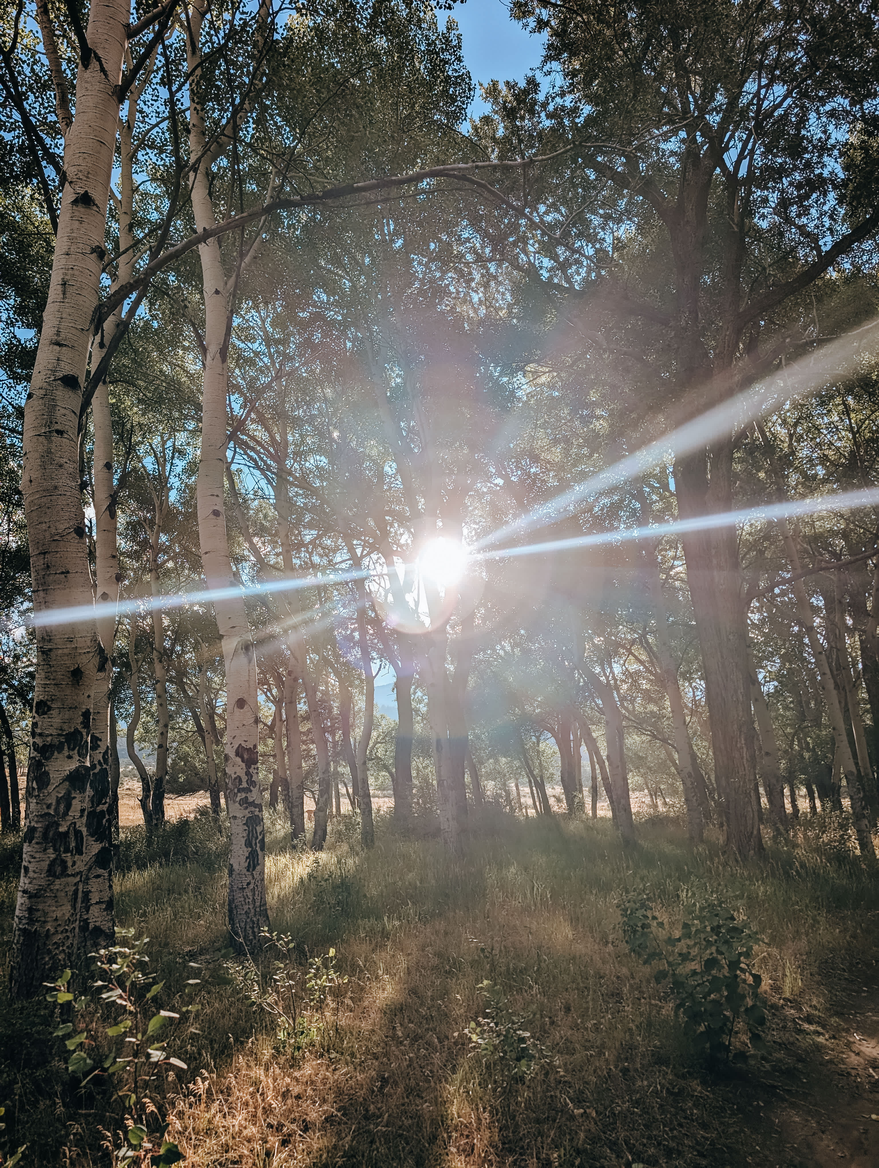 Frenchman's Creek Ranch