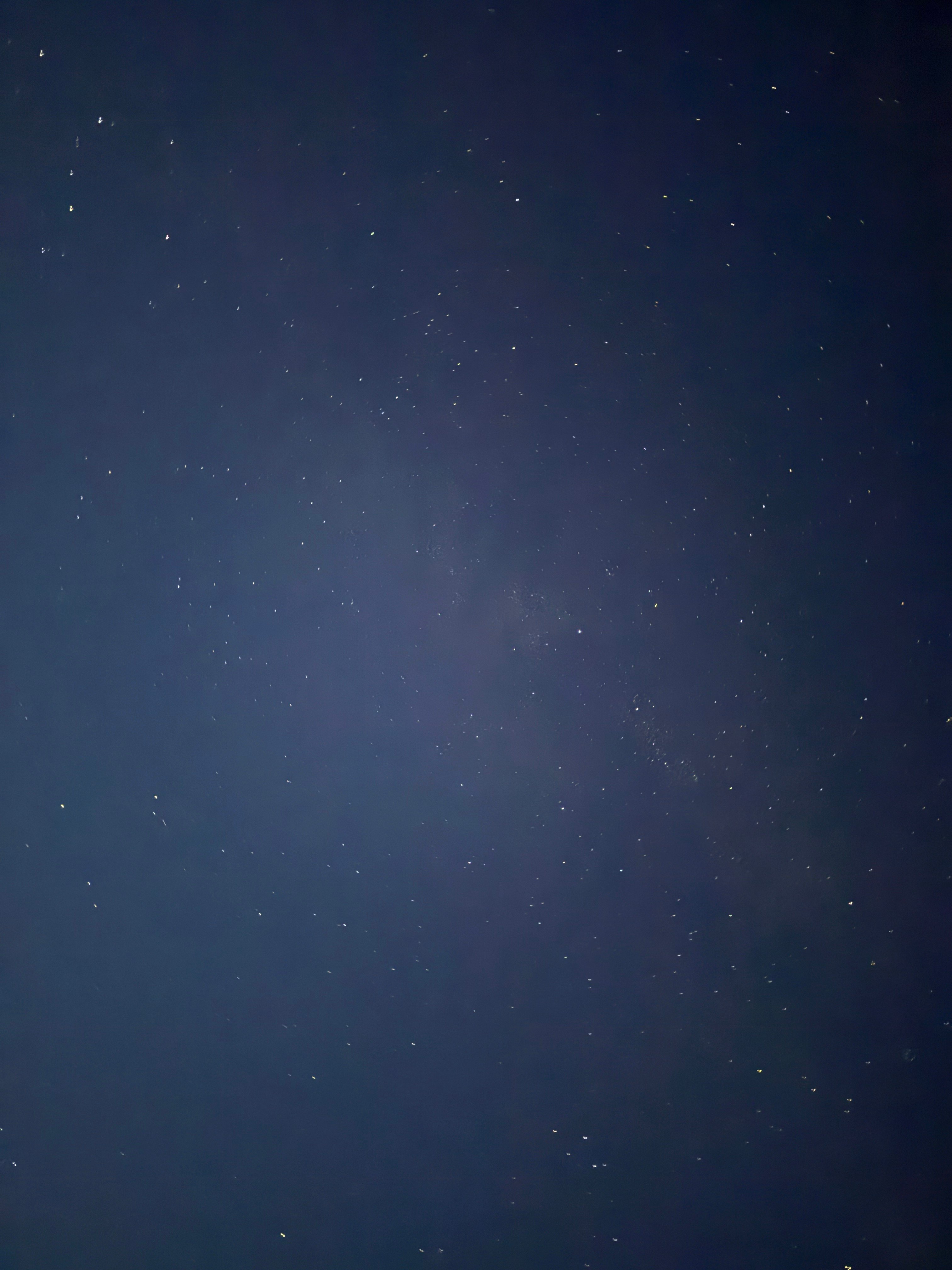 The Milkweed Sanctuary