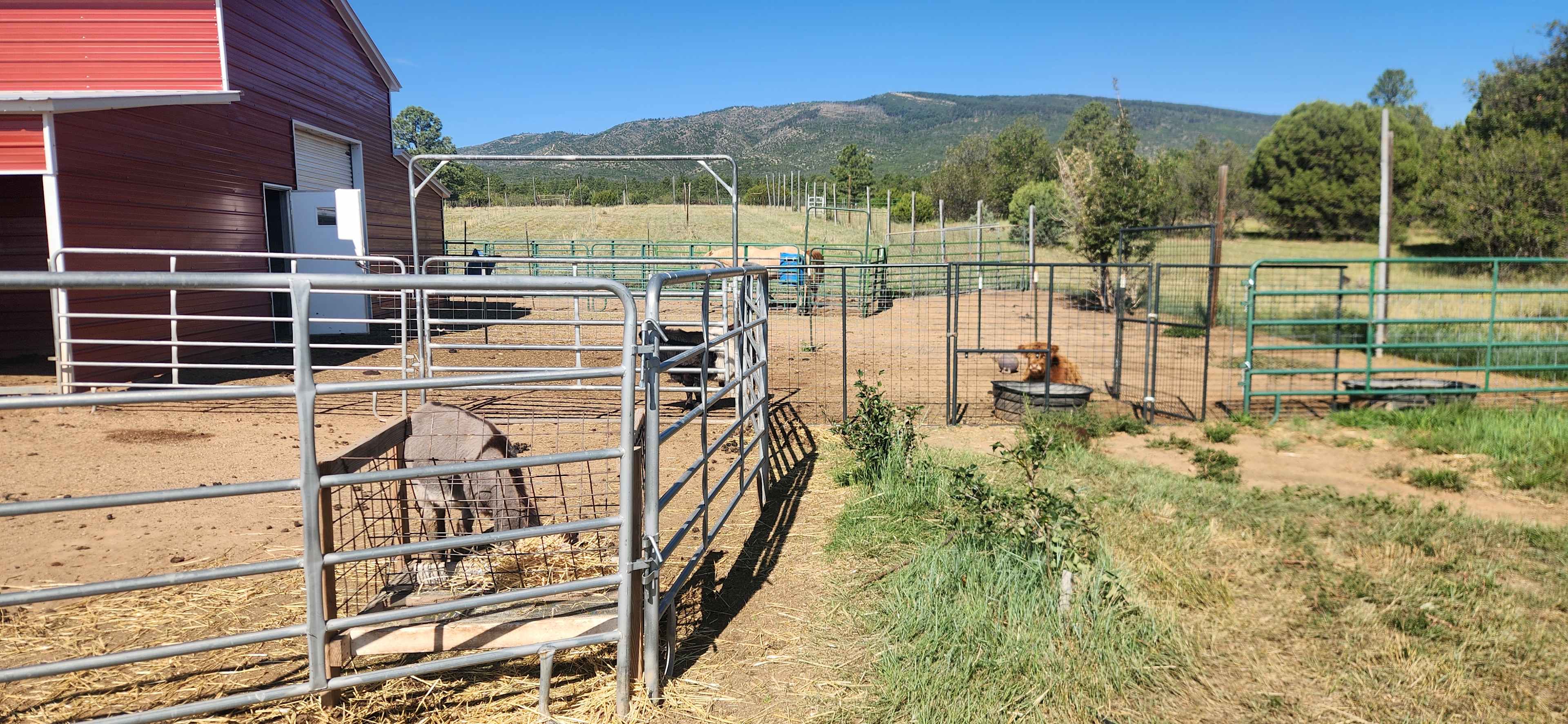 Manzano Mountain Retreat