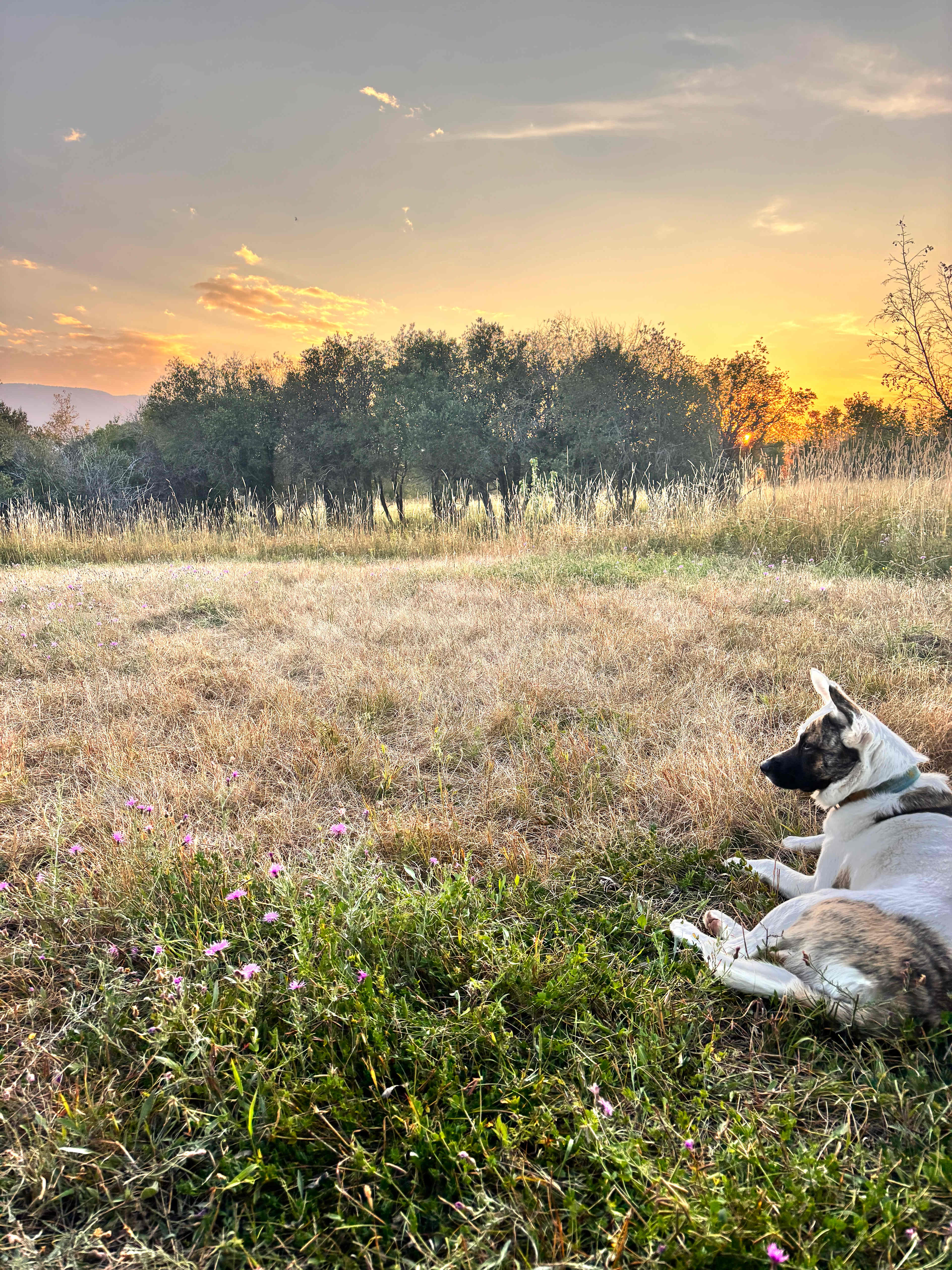 Tucker Ranch with amazing views