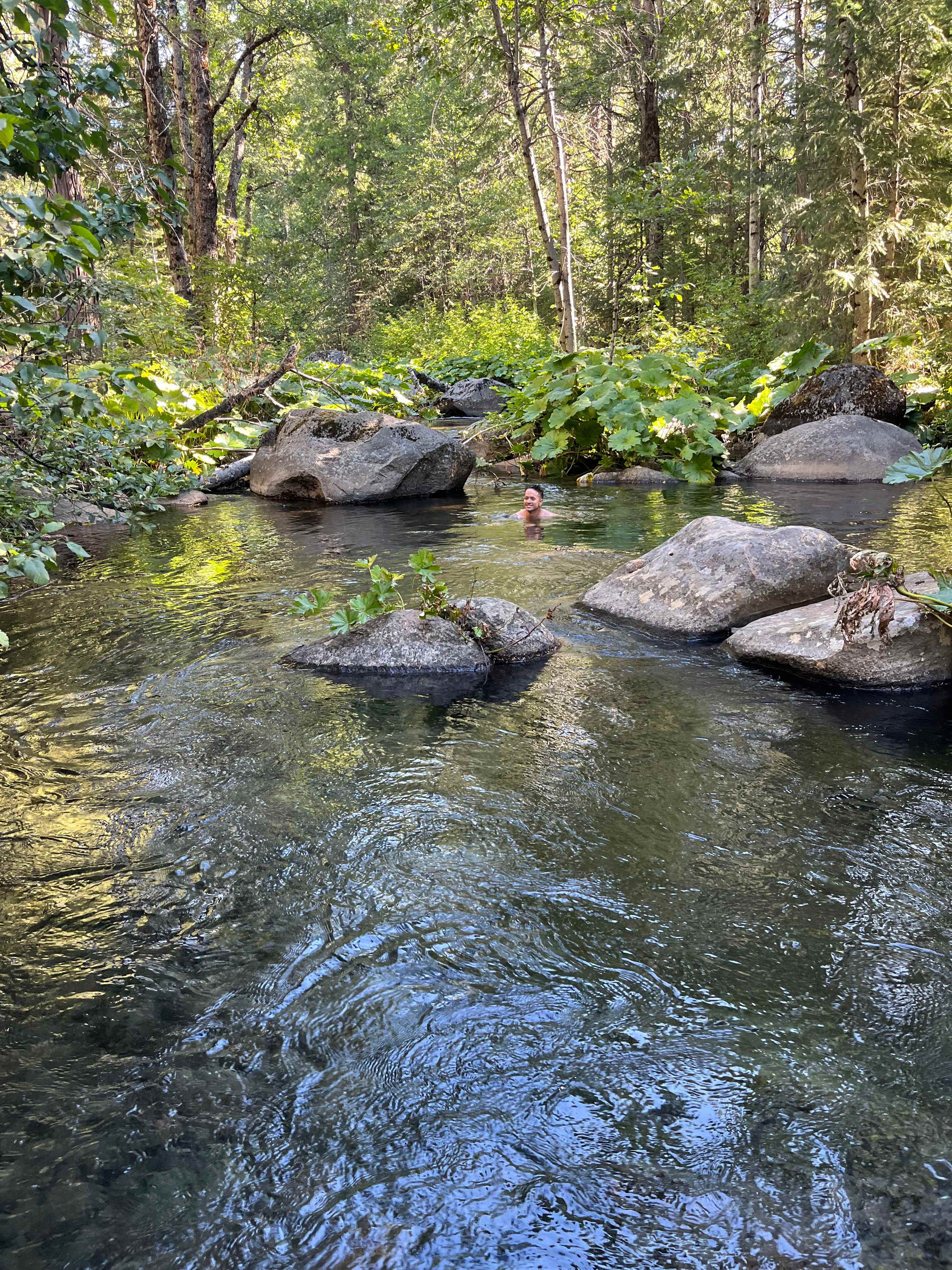 Bright Bear Camp in Tahoe NF