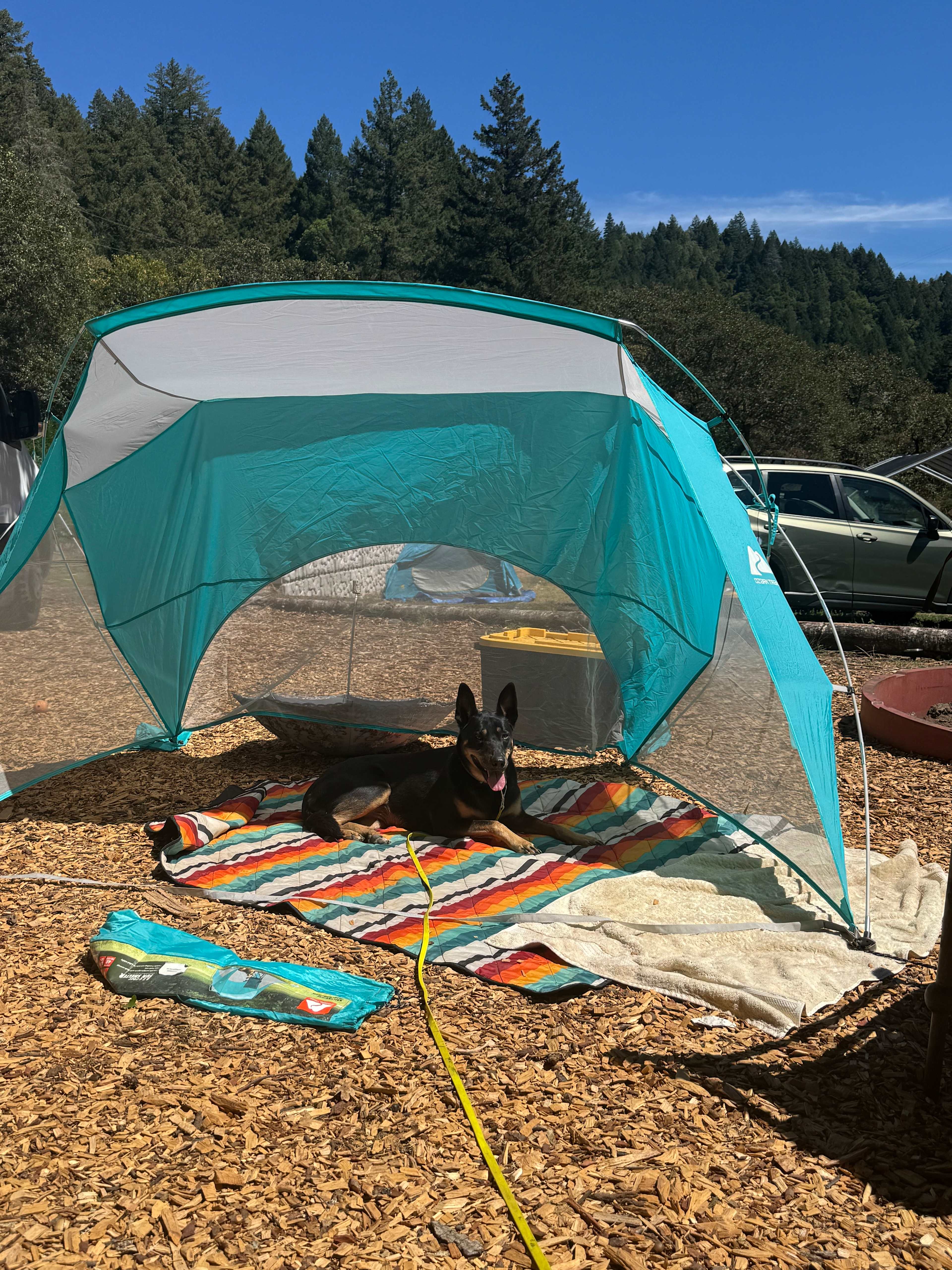 Pup friendly spot. Bring your adventure dogs here.