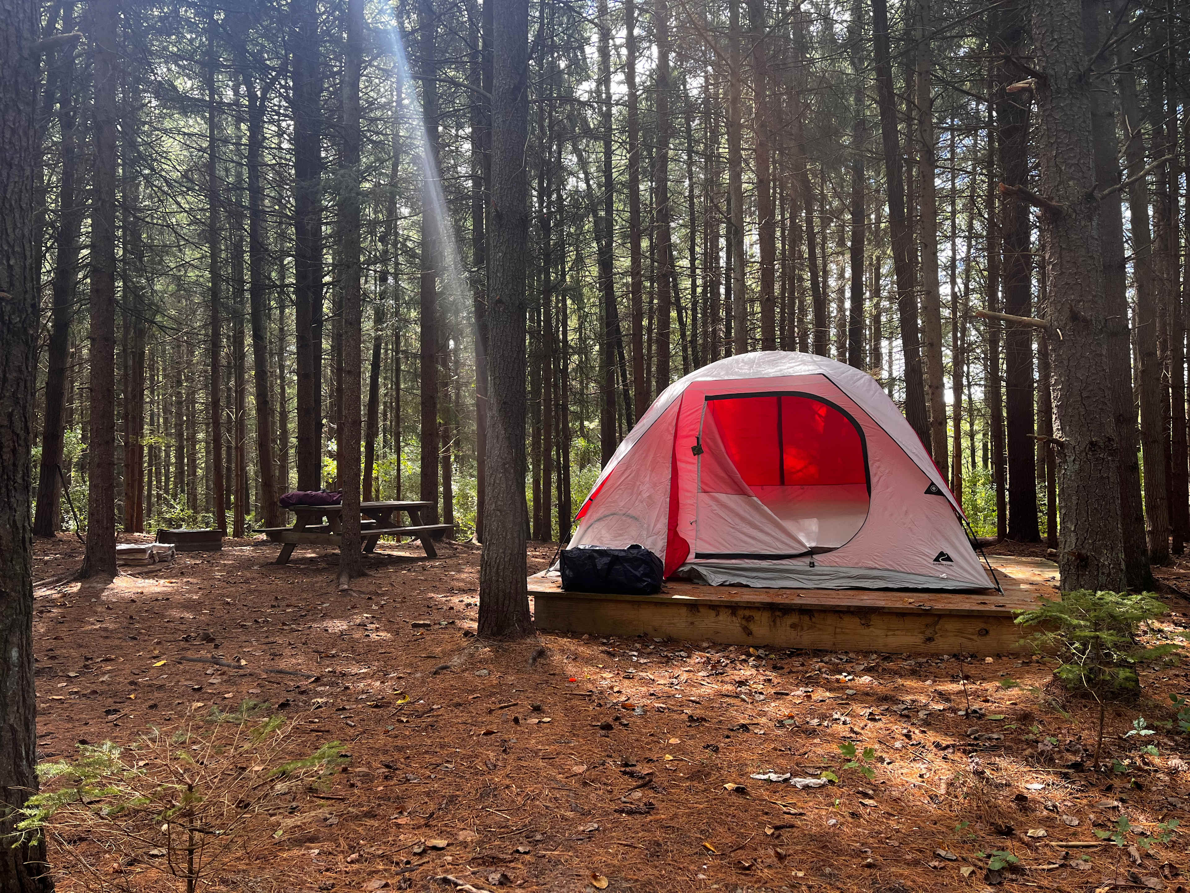 River Hills Above the Allegheny