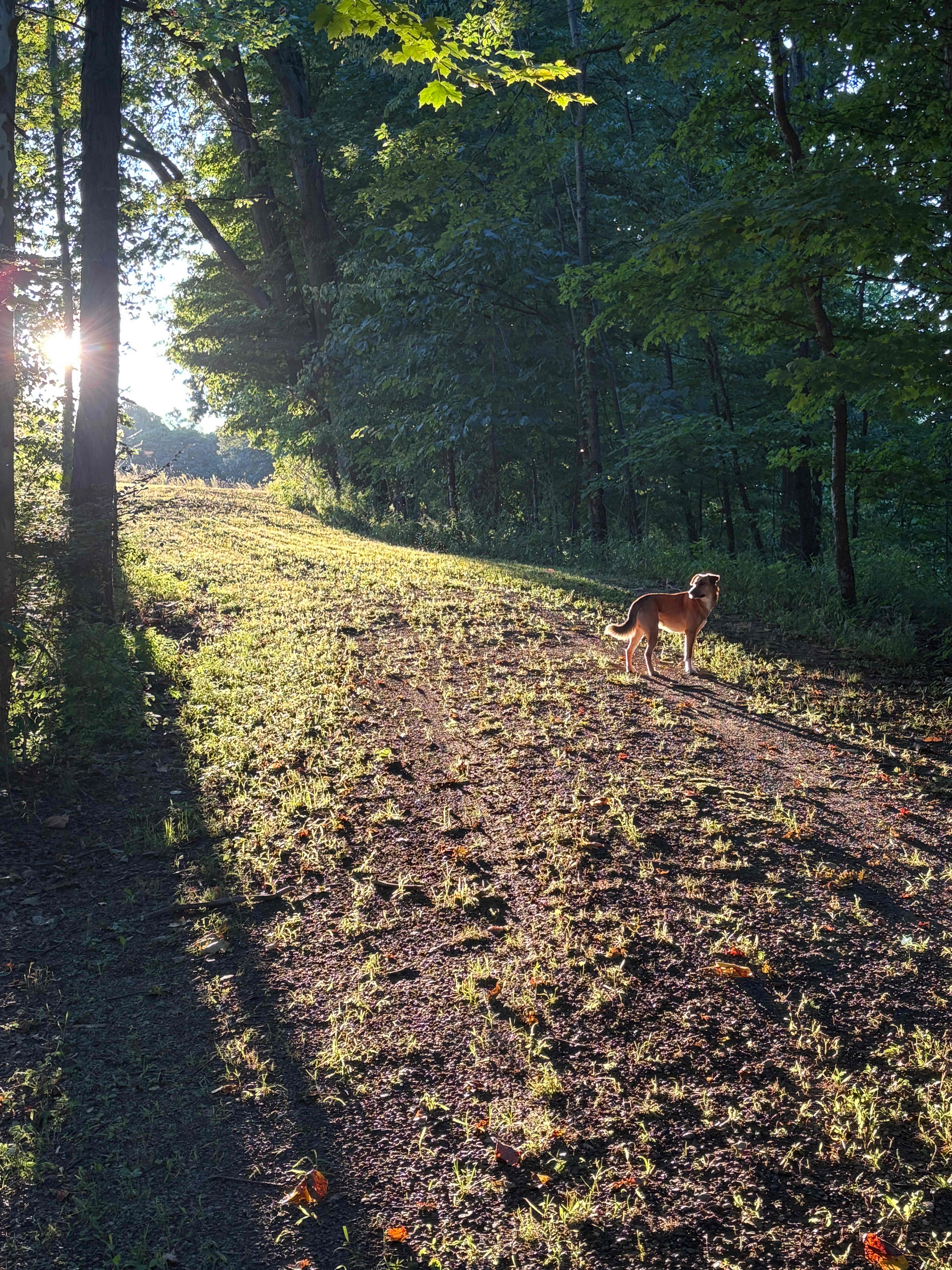 Elk Valley Creekside