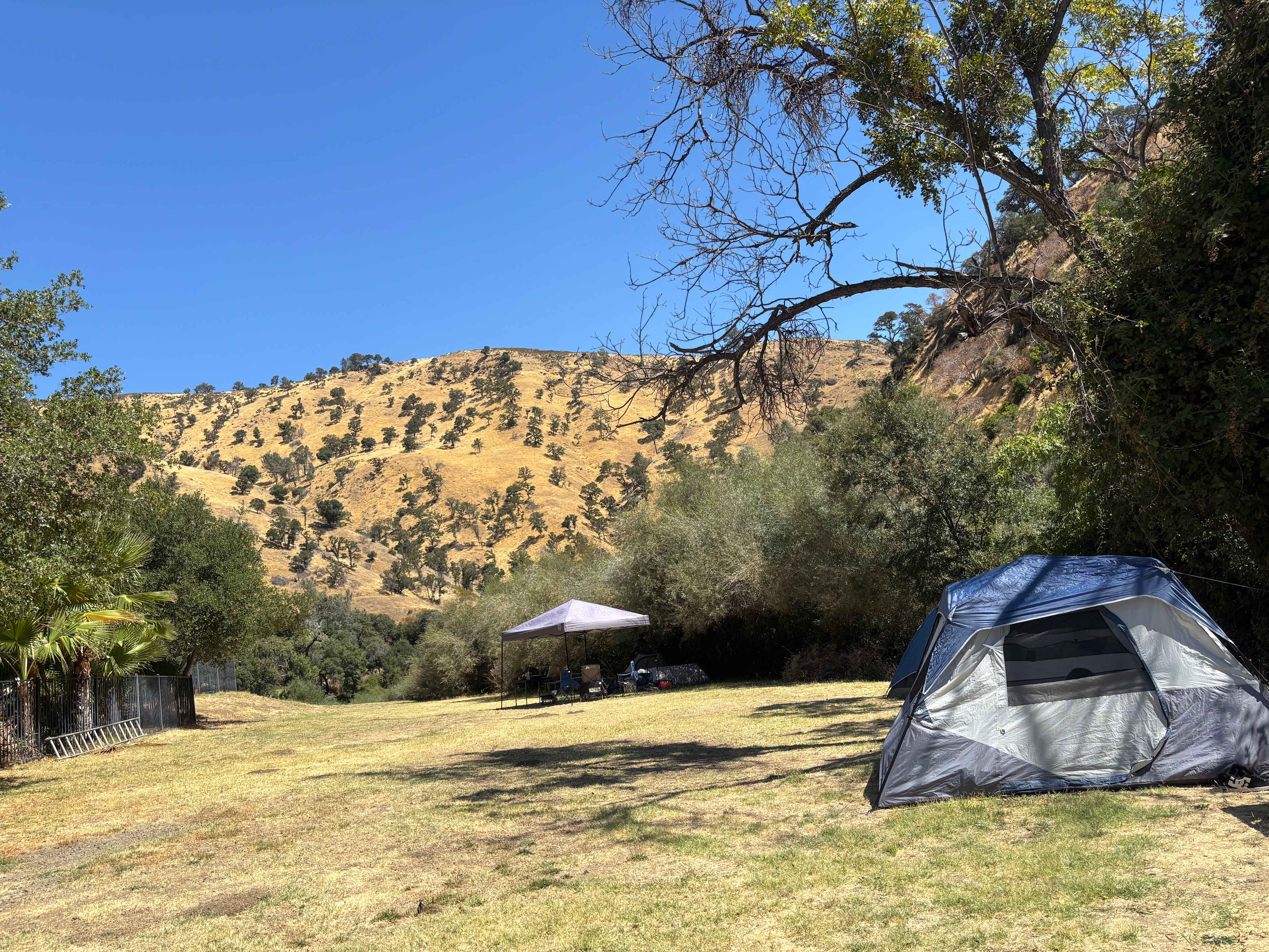 Camping is so peaceful and clean.