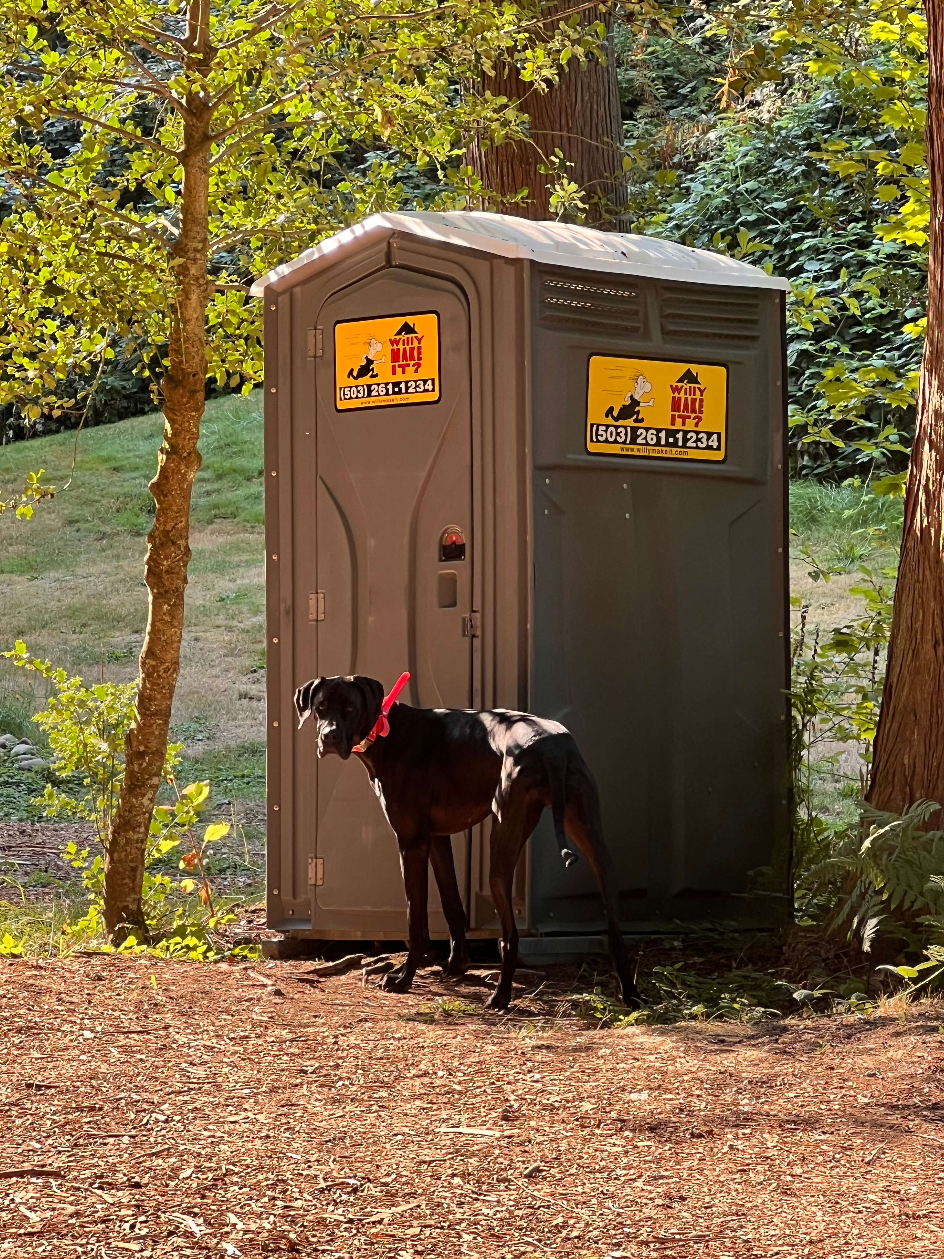 Waiting her turn (JOKING) 