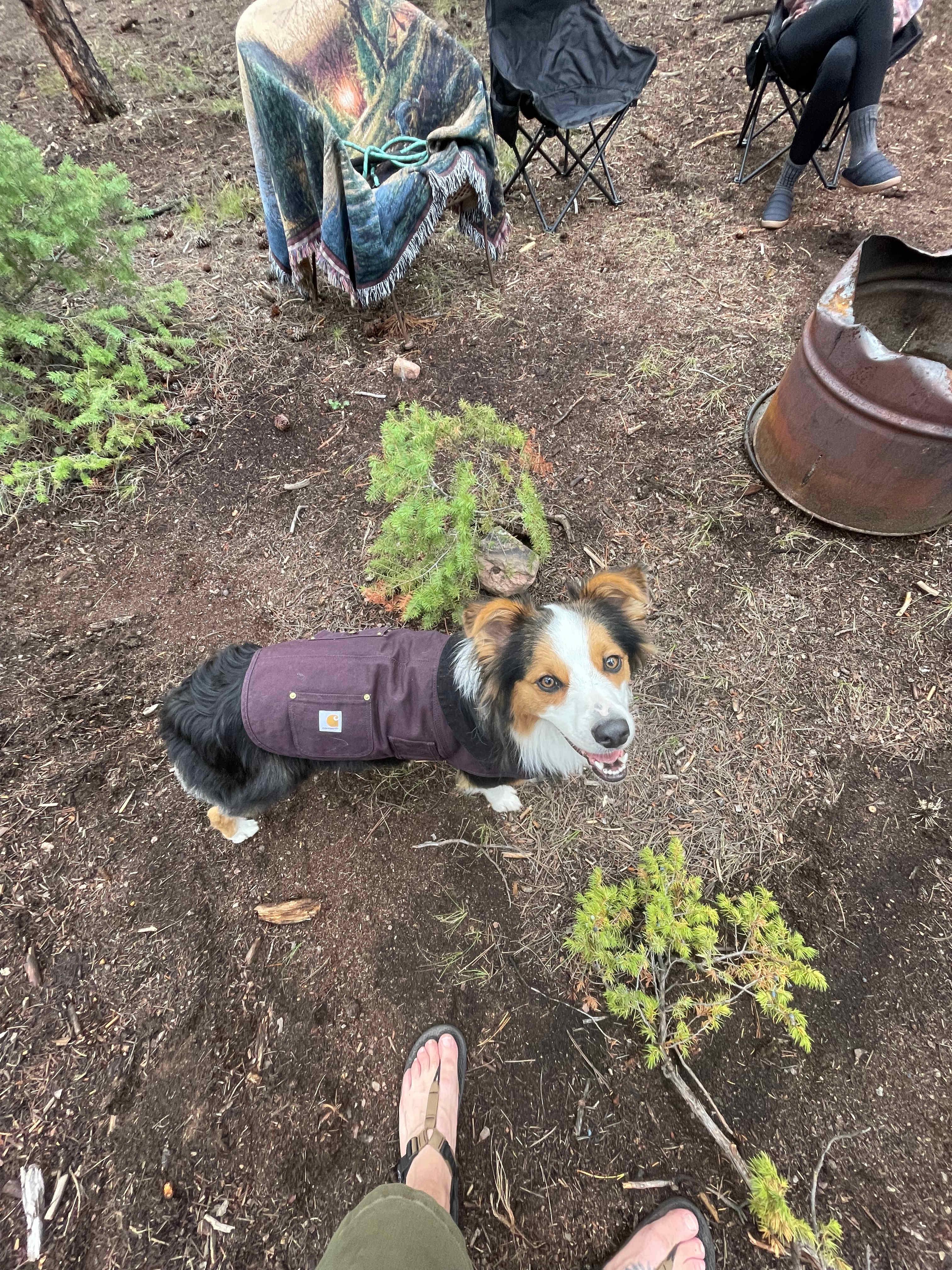 Little Scraggy Camp