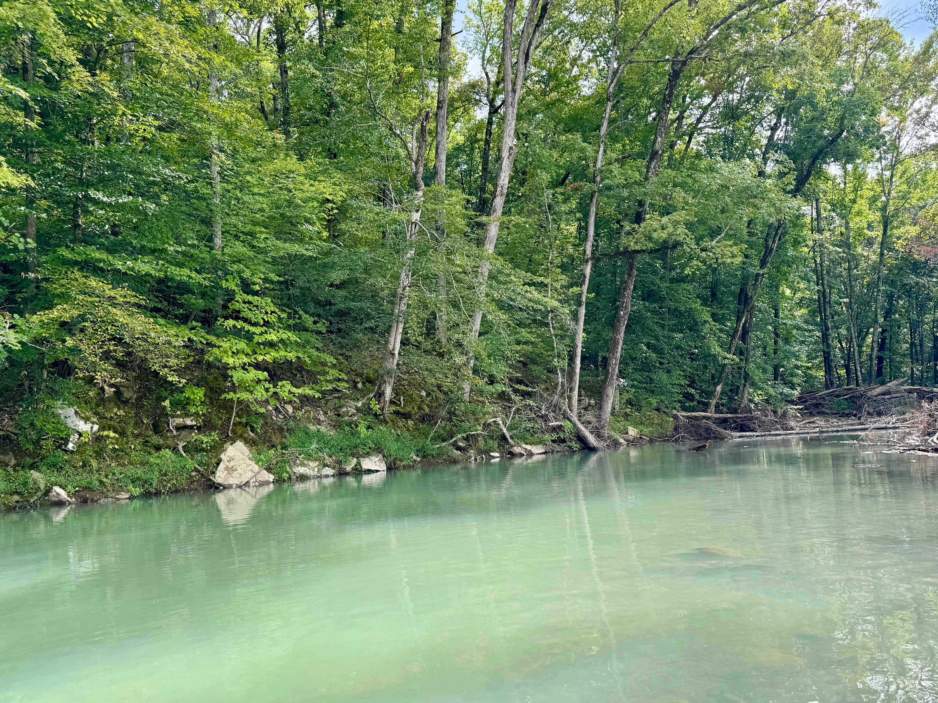 Little Mulberry Vacation Rentals