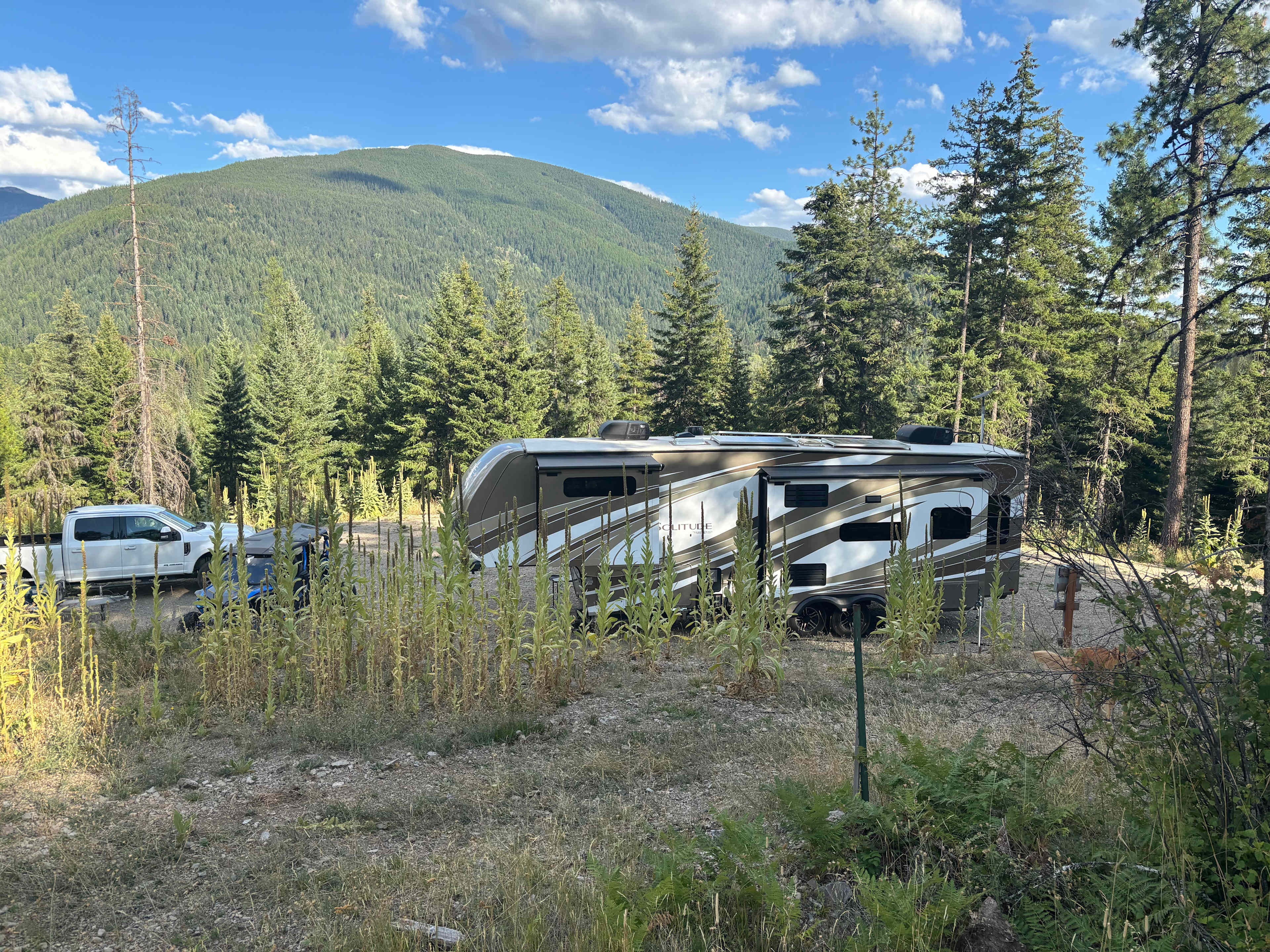 Fox Lane Private Campsite