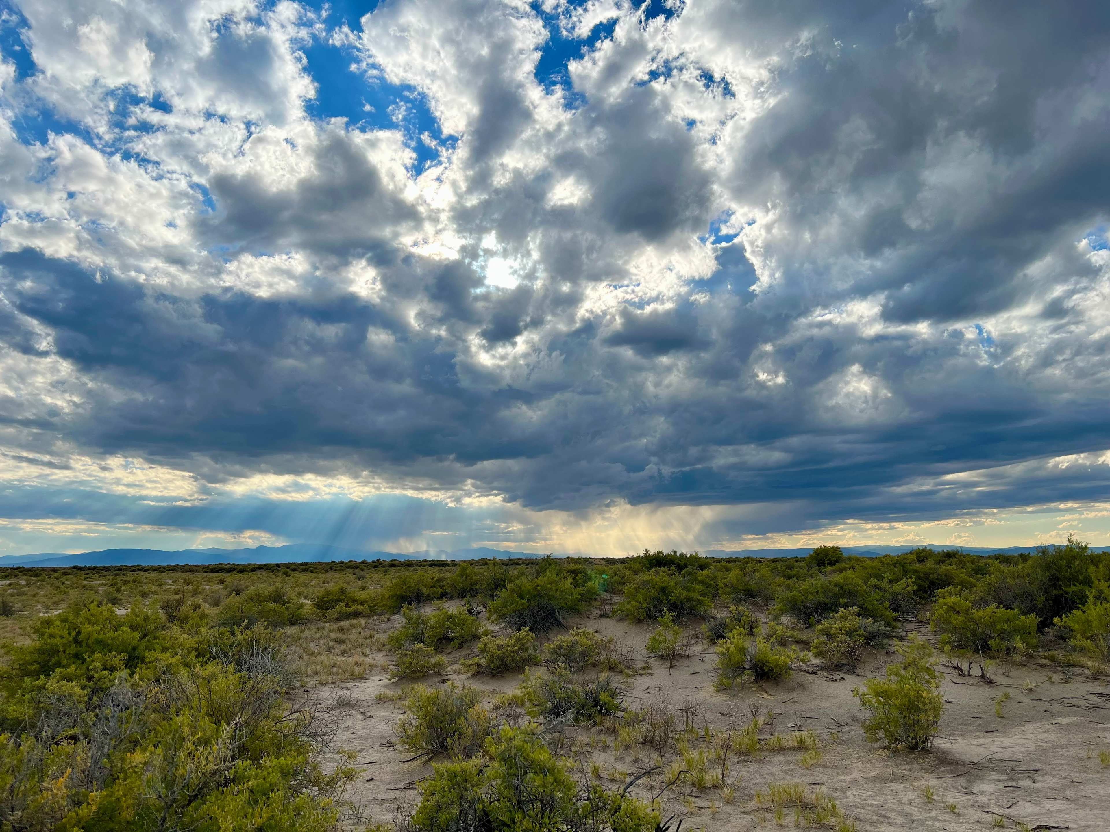 Great Sand Dunes Camp Dune