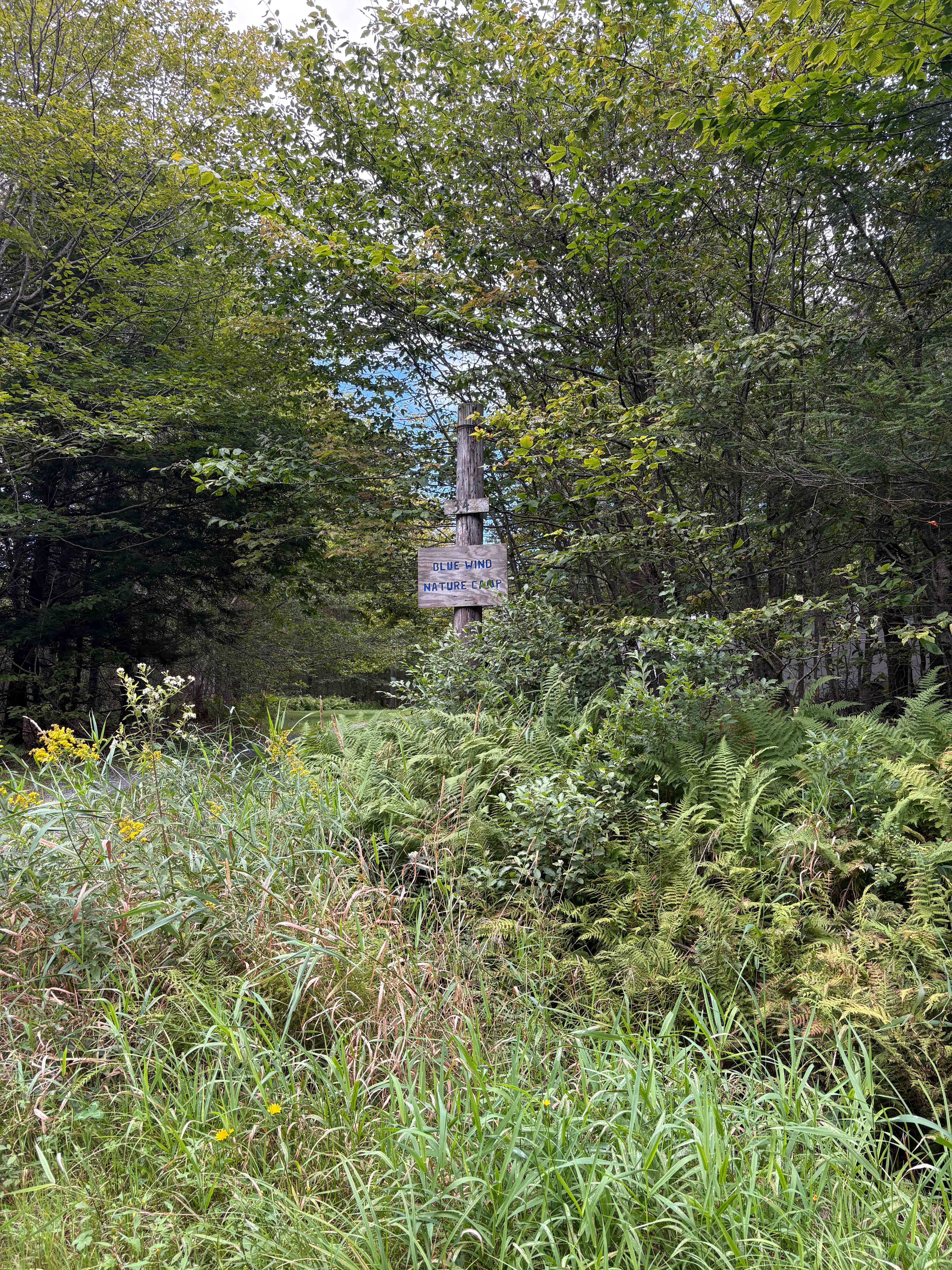 Blue Wind Nature Camp