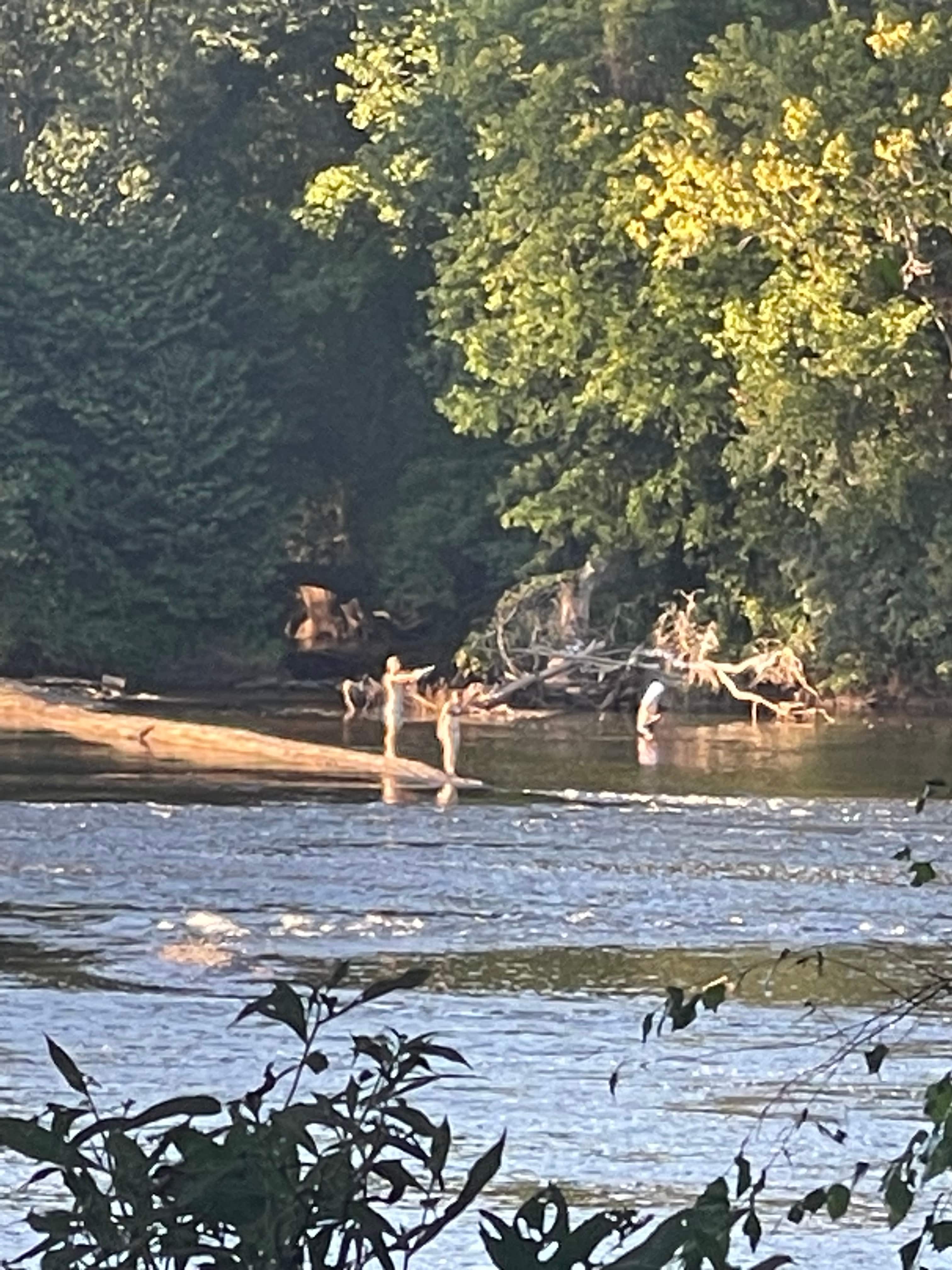 The Wilderness At Belmead