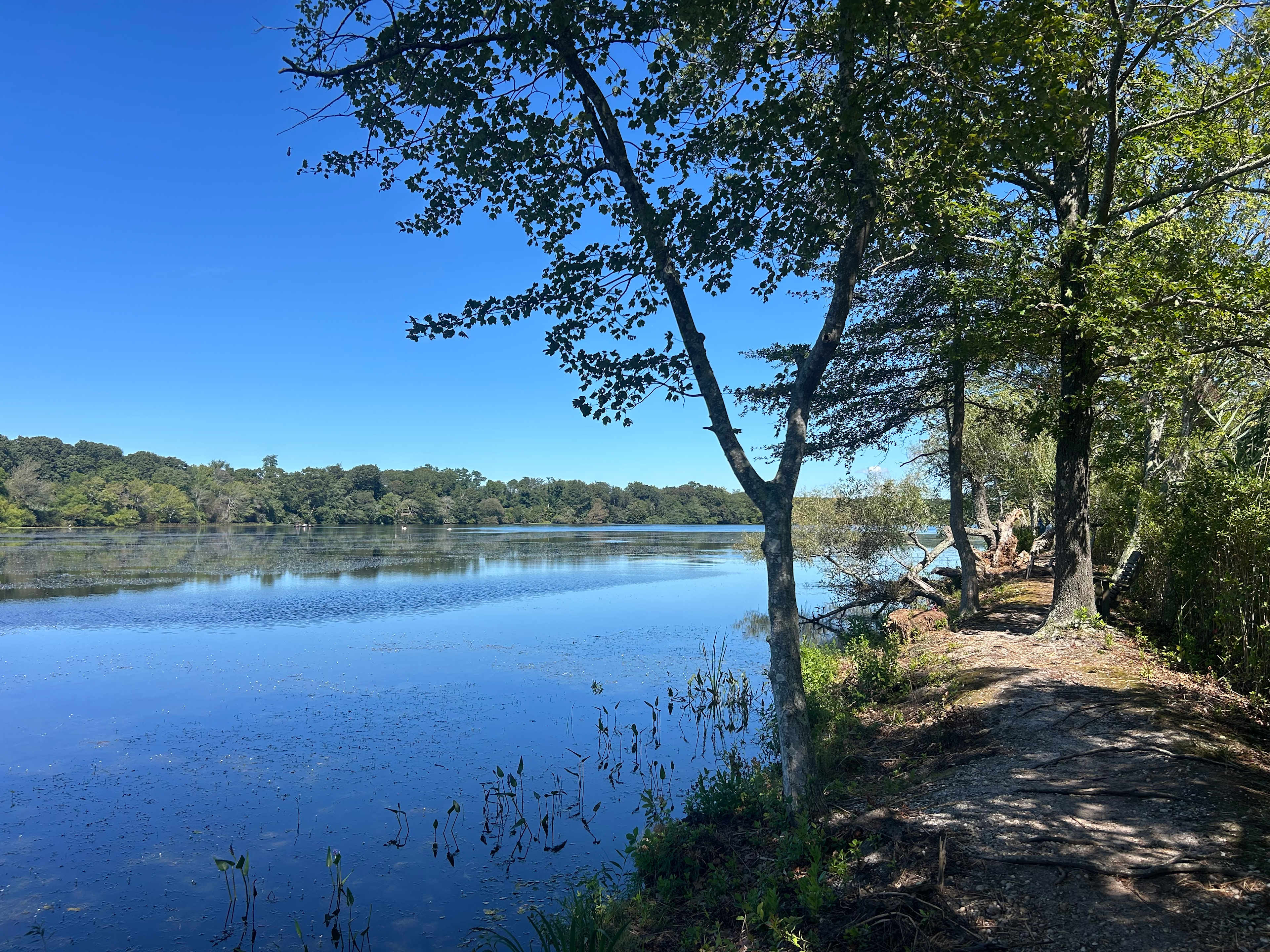 Nissequogue River State Park
