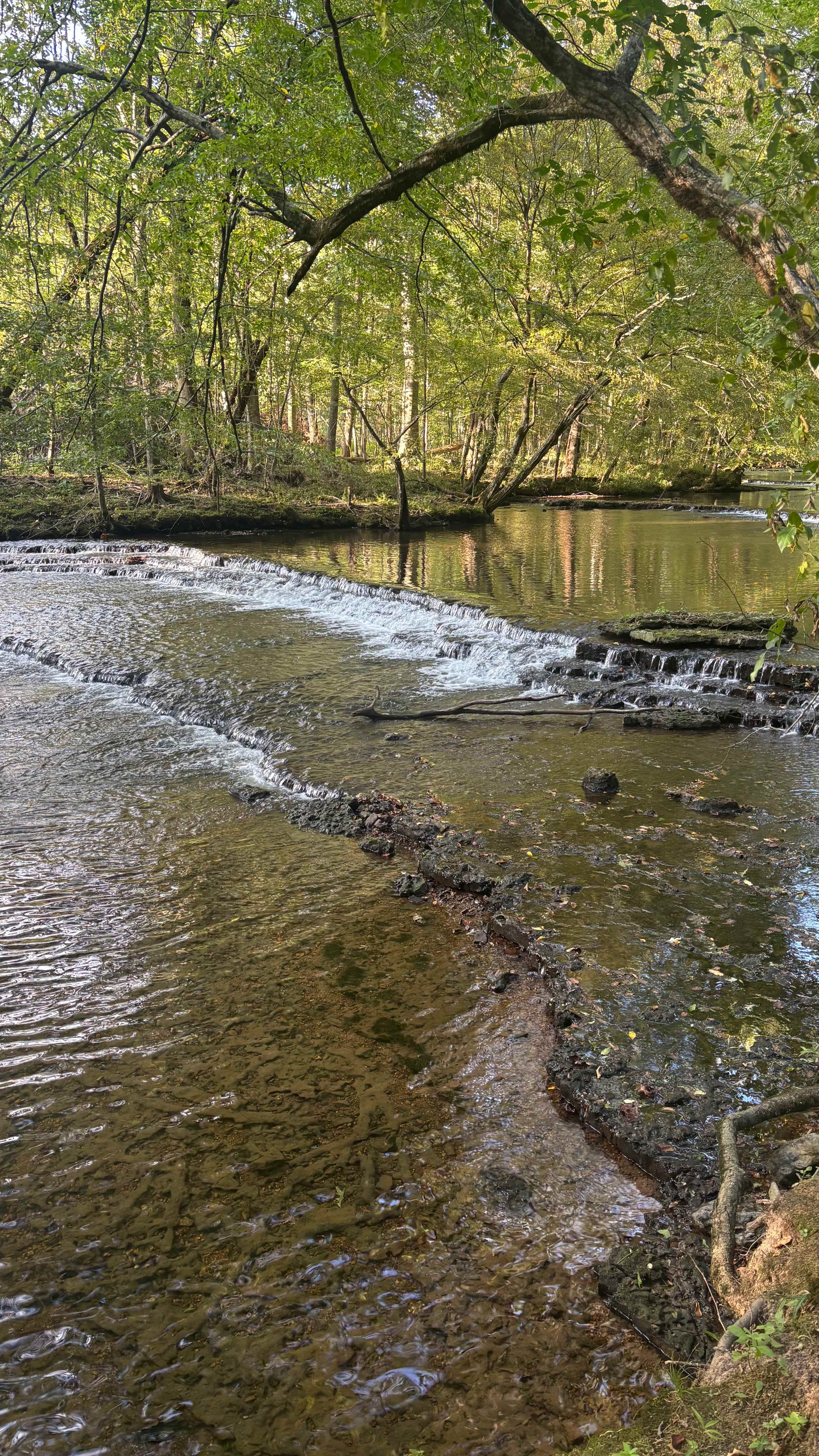 Rock Creek Wooded Campground