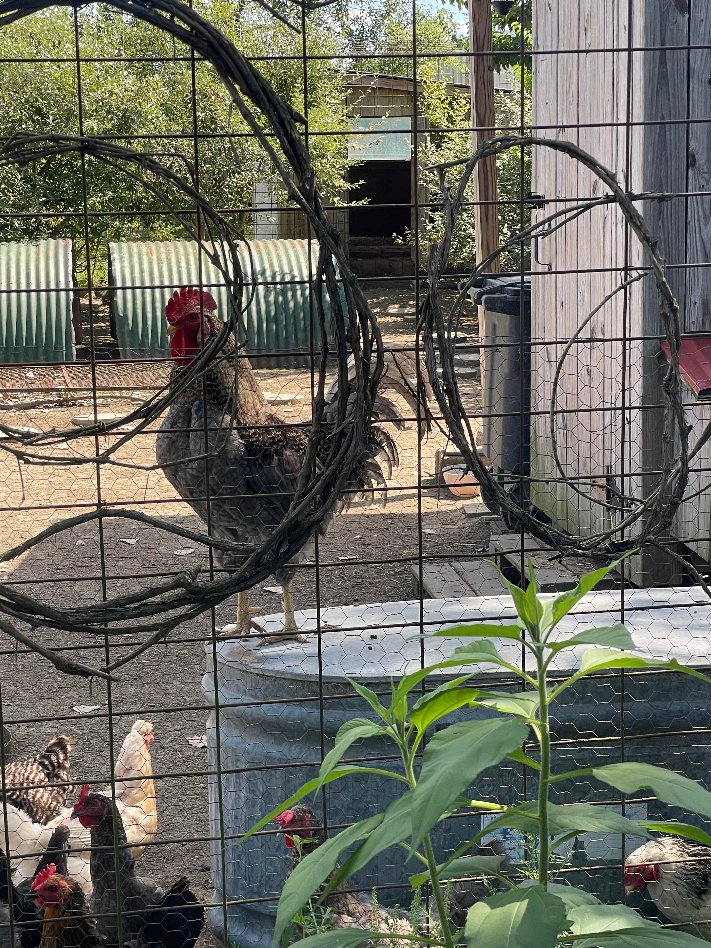 Fallen Tree Campground
