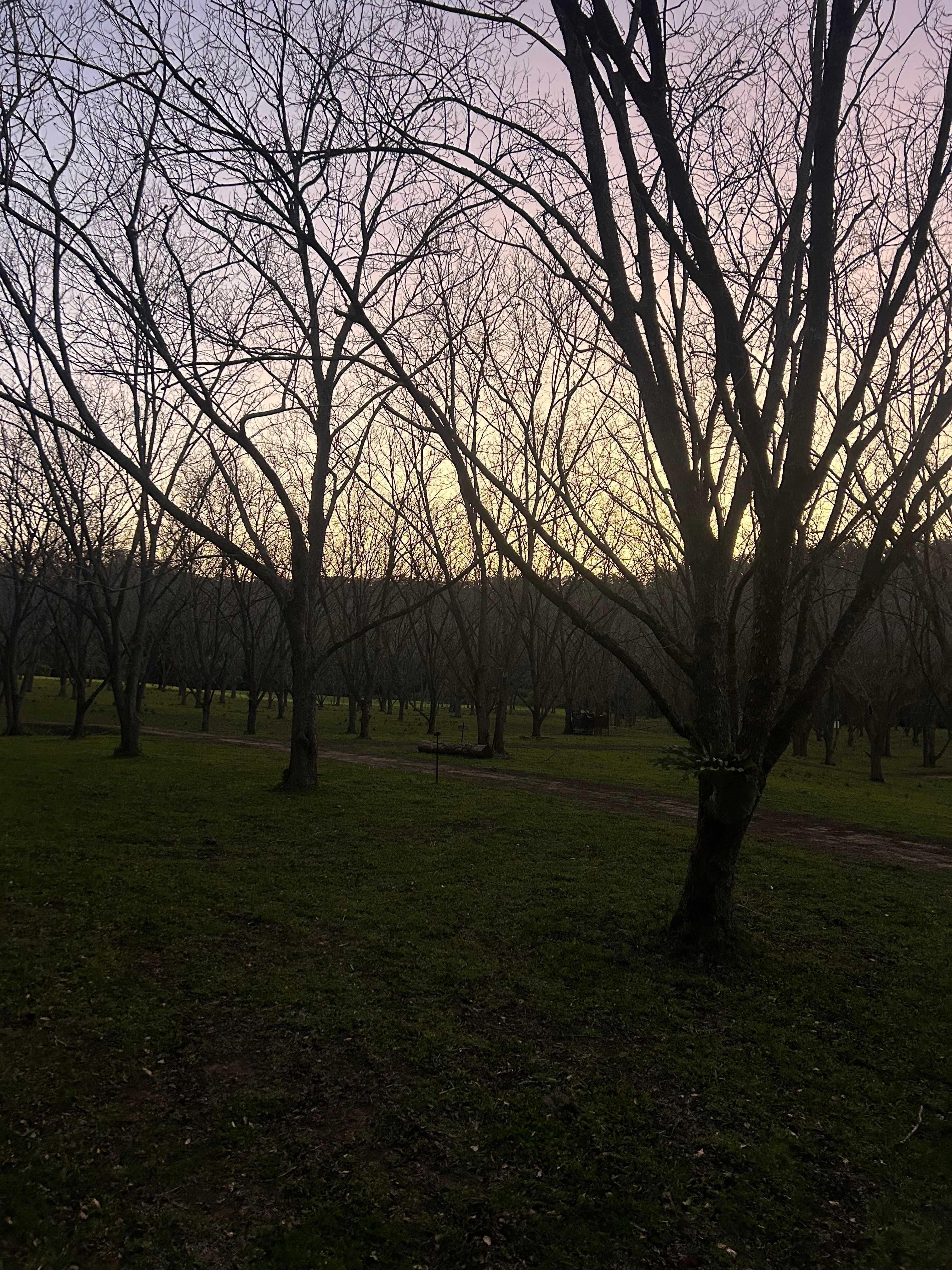 Eagles Nest Hideaway, Pecan Fields