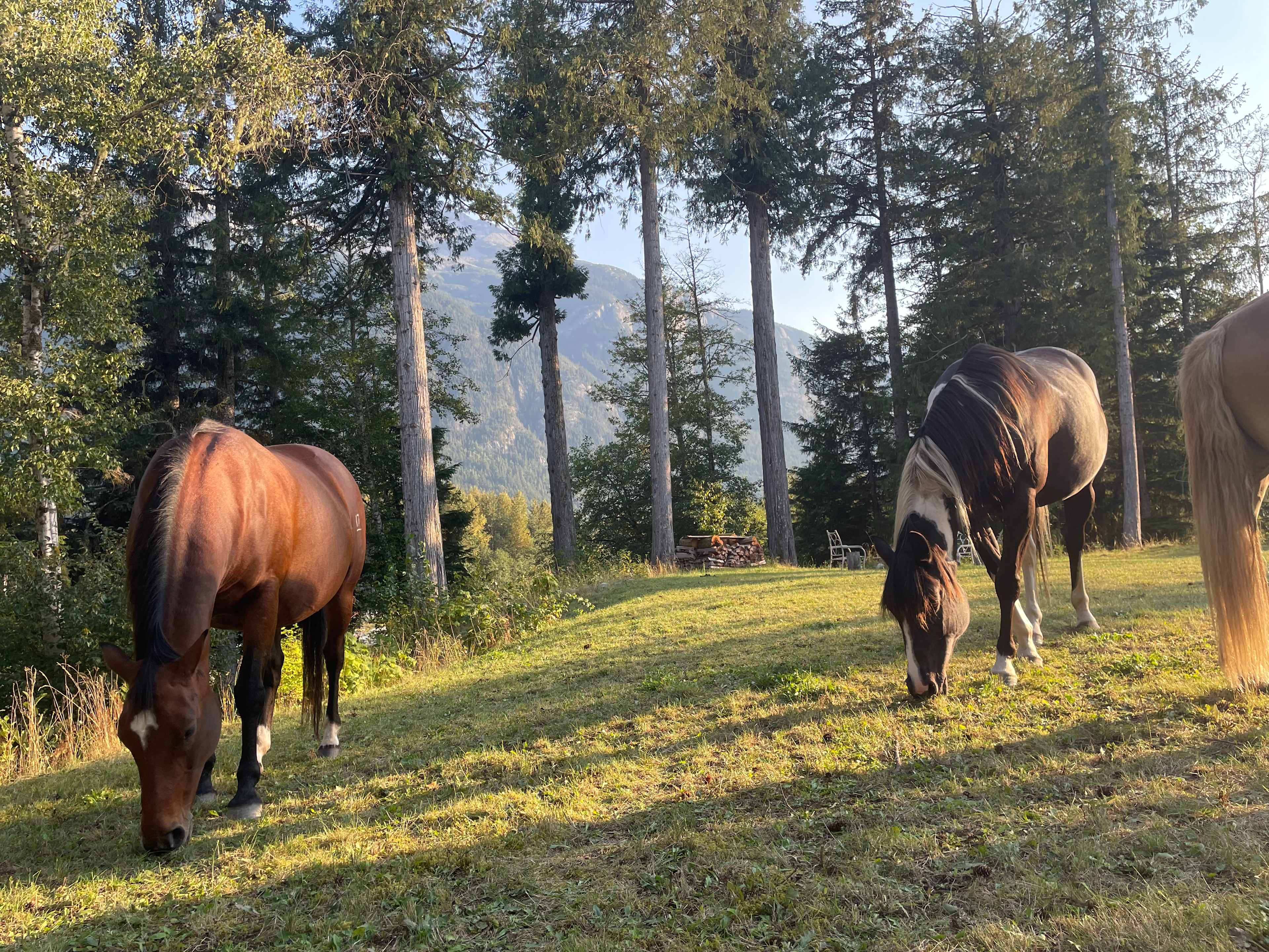 Bella Coola Riverside Camp