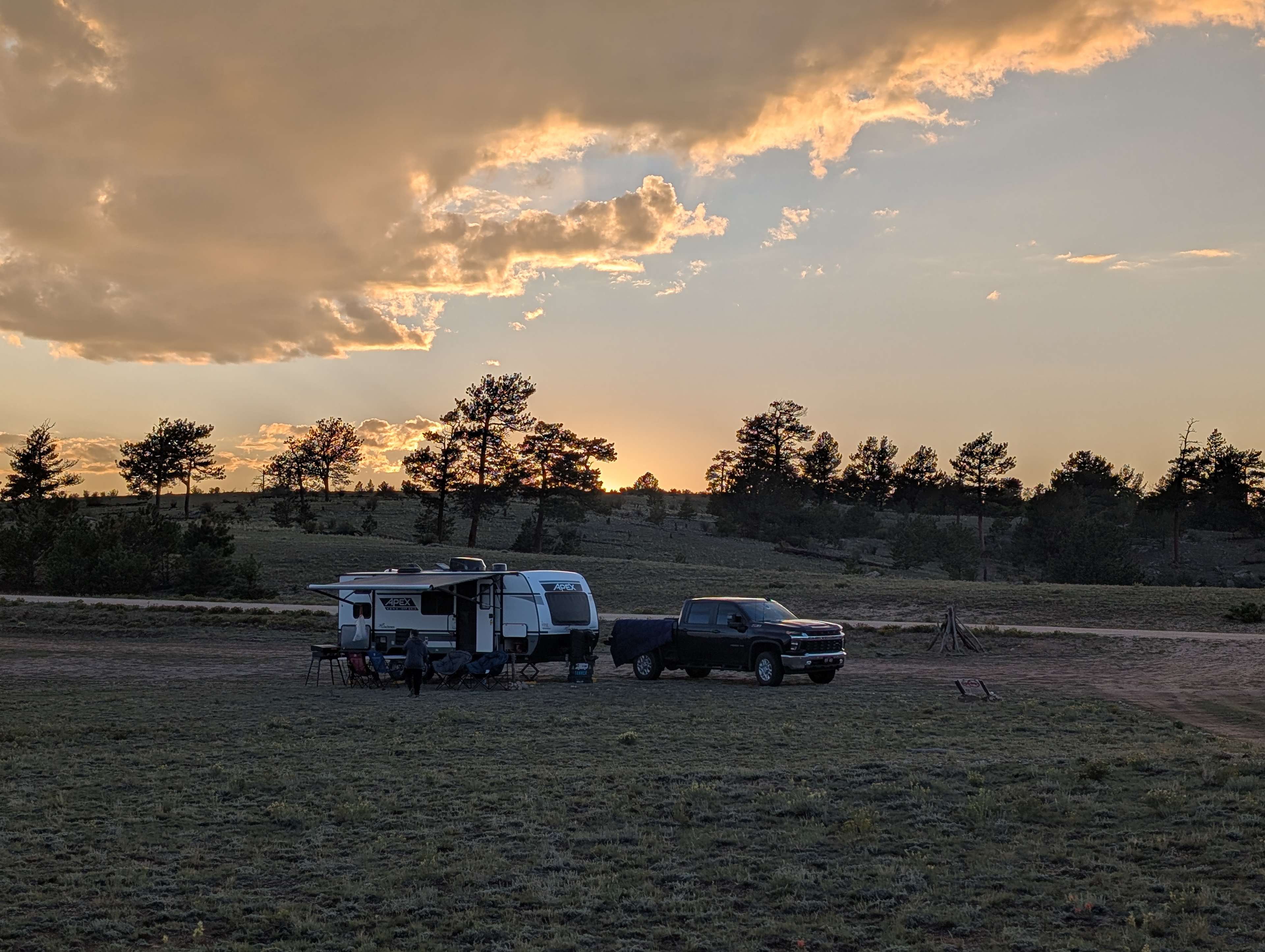 Lots of space for the kids and dog to run around. 