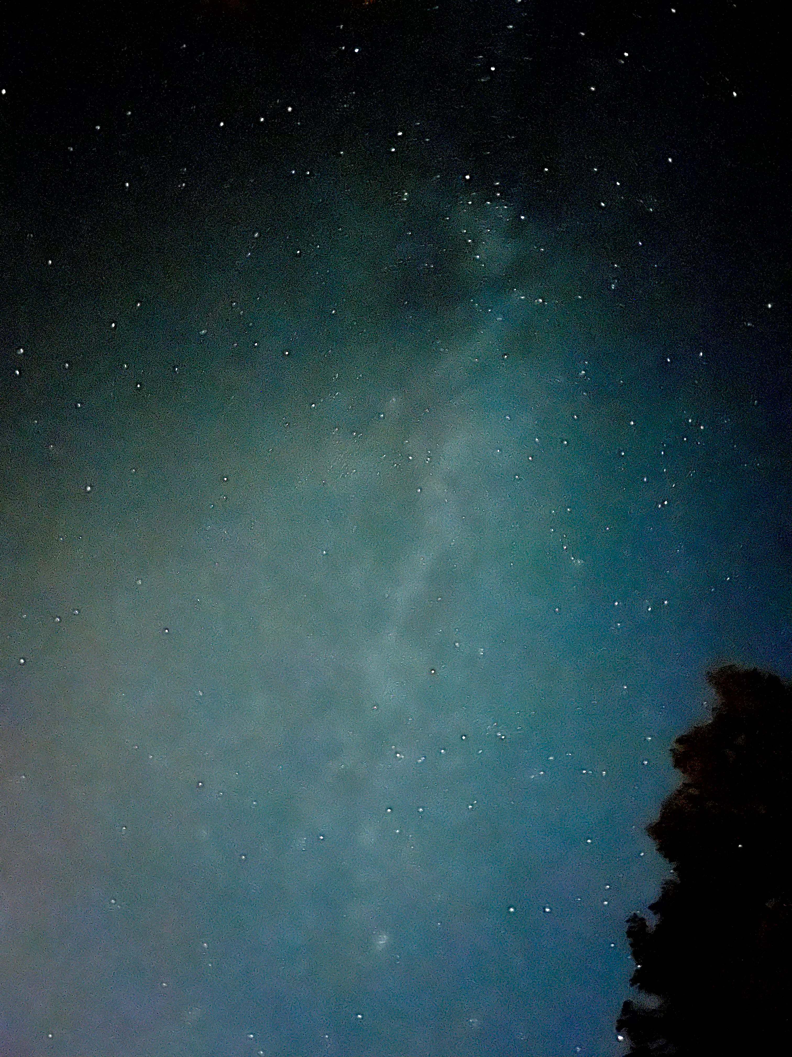 Brooklyn Heights Riverfront Camp