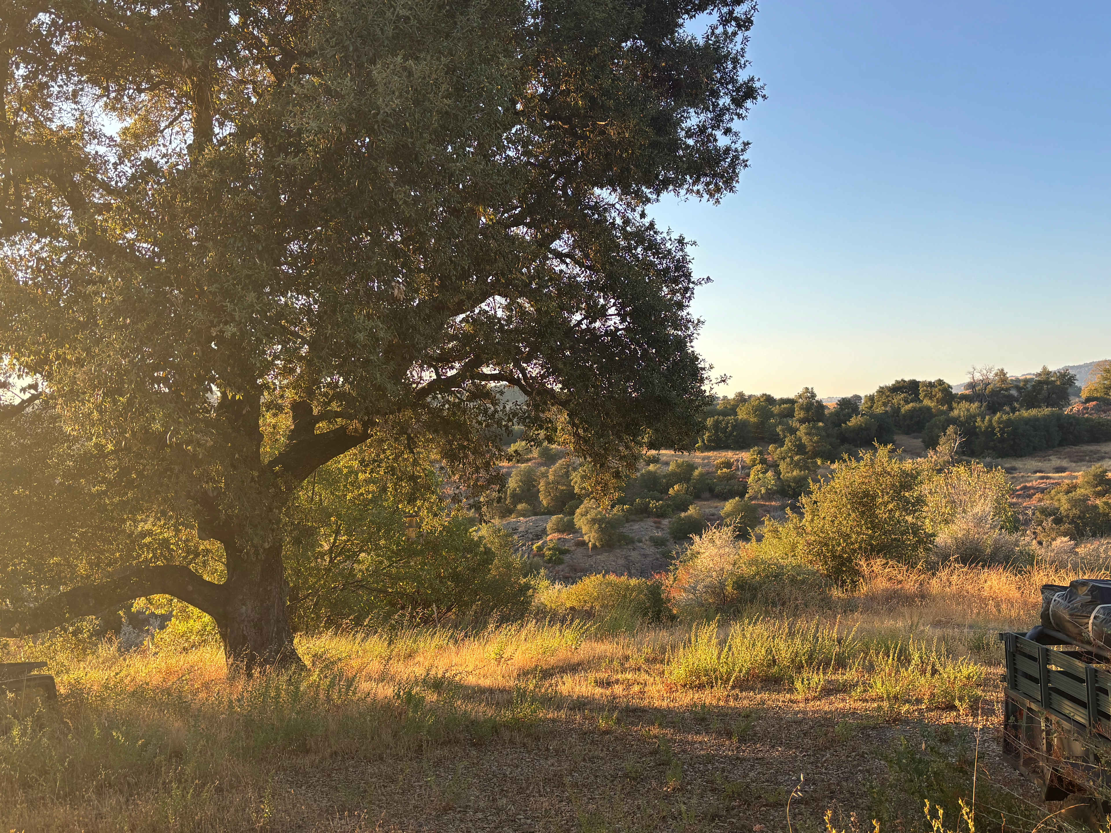 Svatantria Boutique Retreat