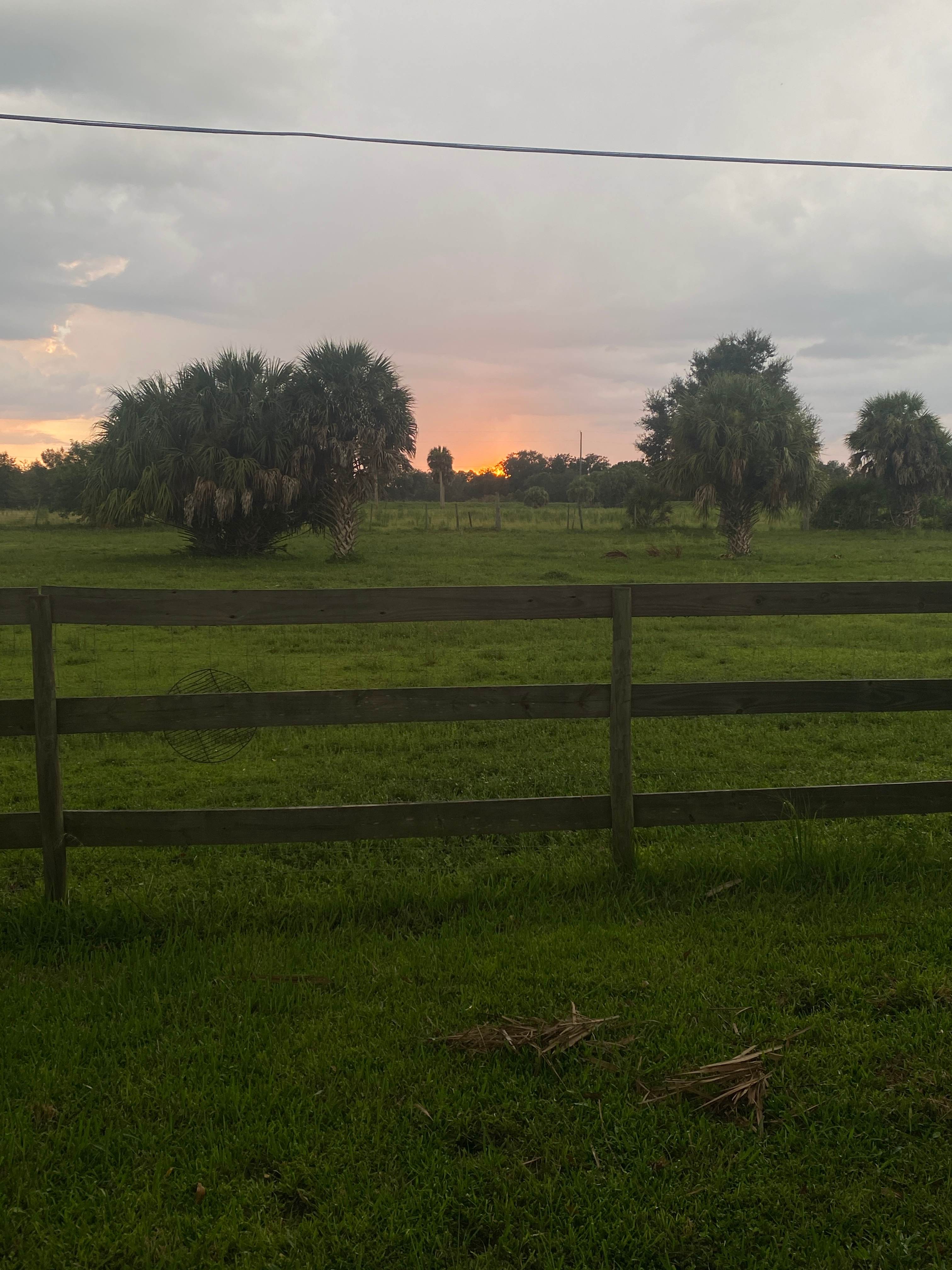 Blue Fox Ranch: Lake & Farm Camp