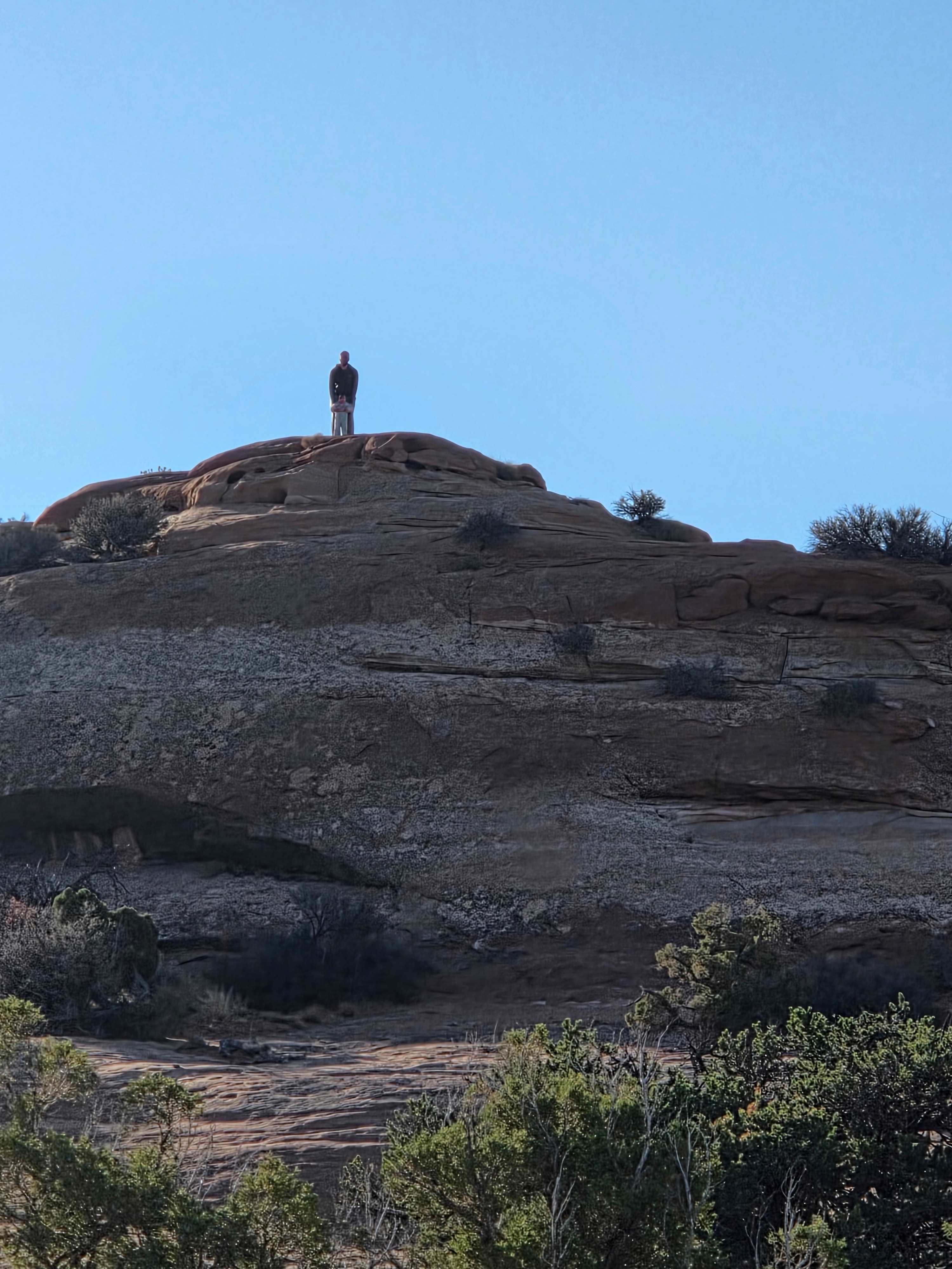 Where The Wild Things Camp