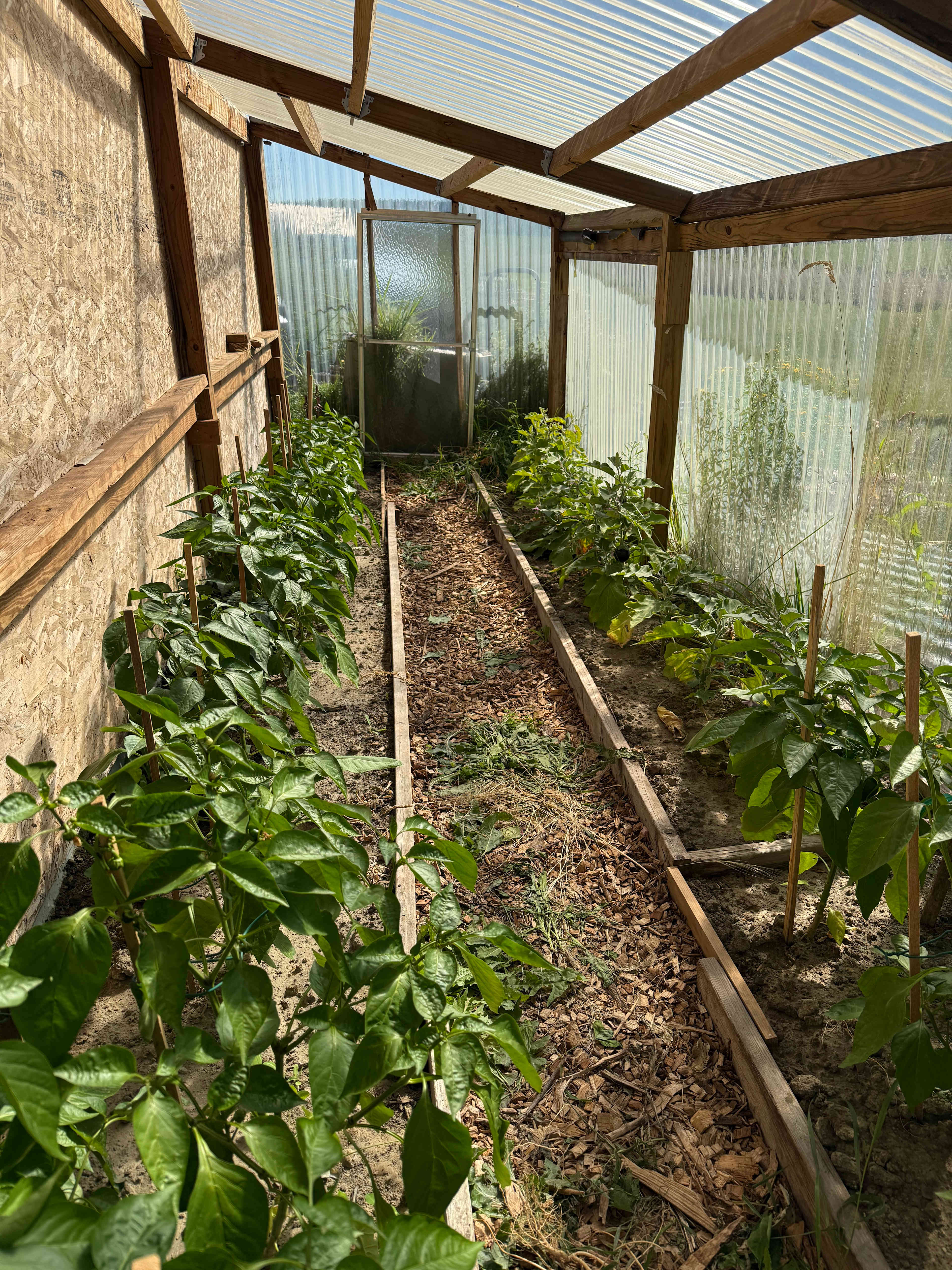 Bisaccia Botanical Gardens