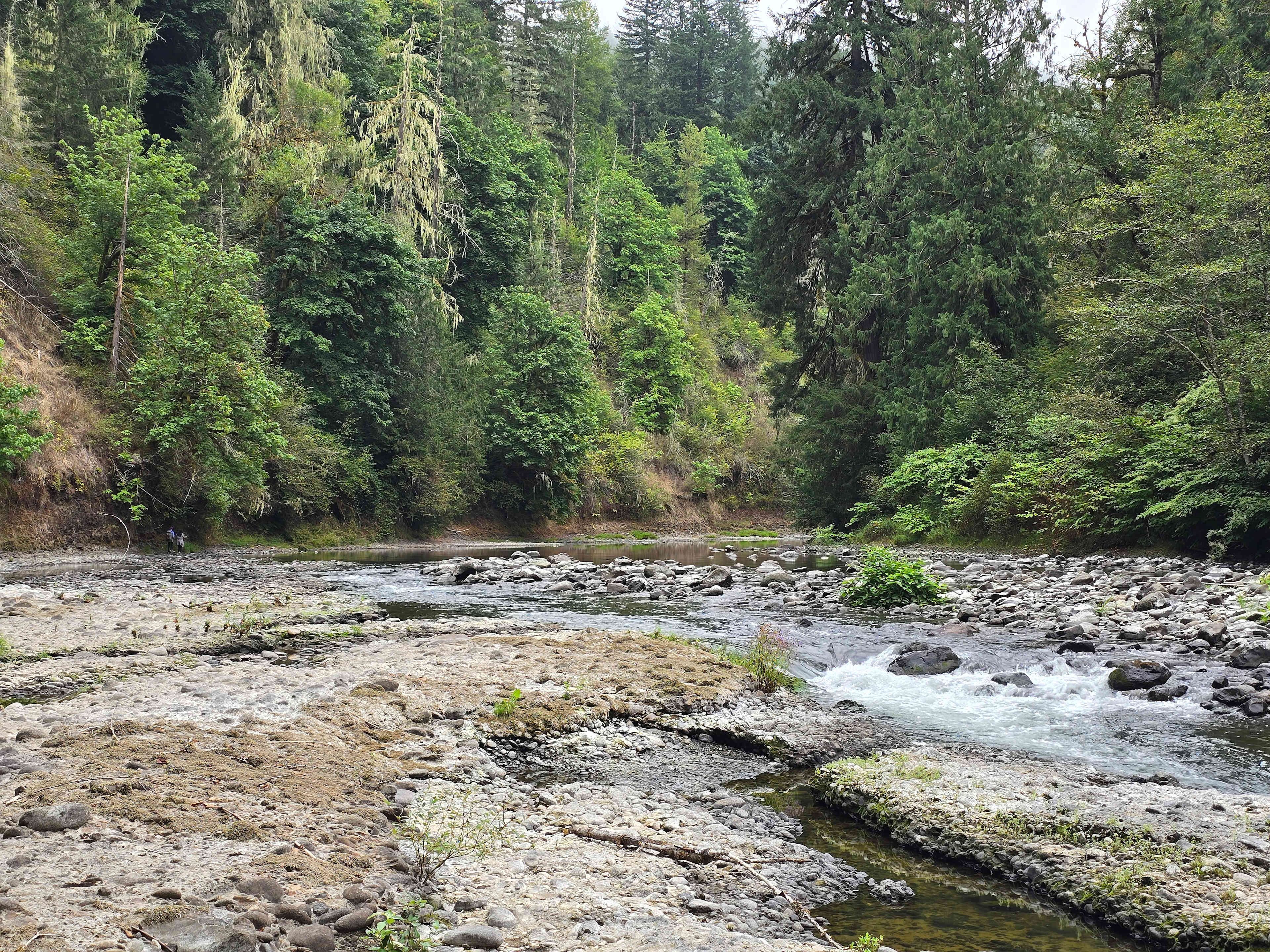 The Arboretum at Bear Canyon West