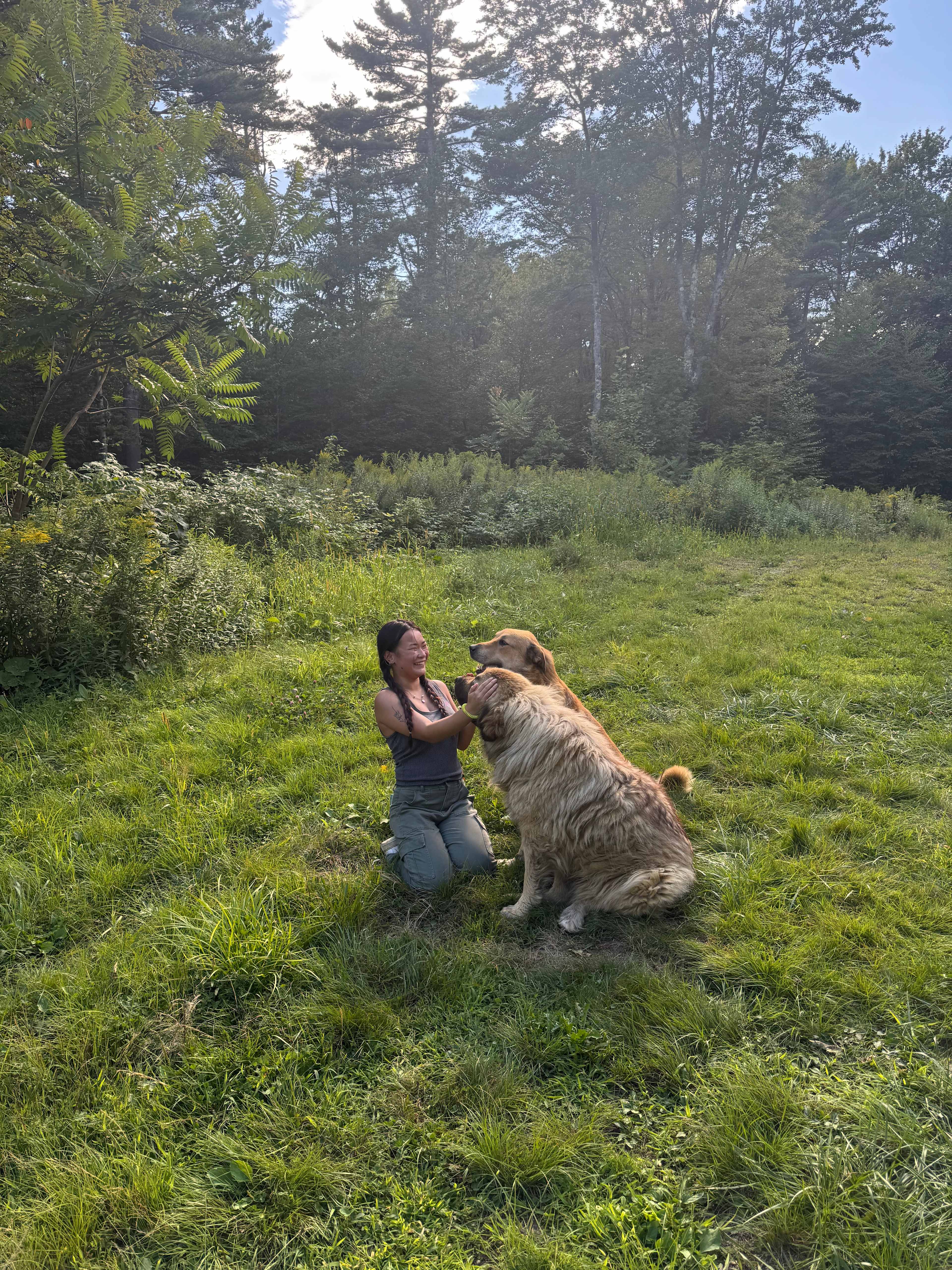 The Lovespun Homestead