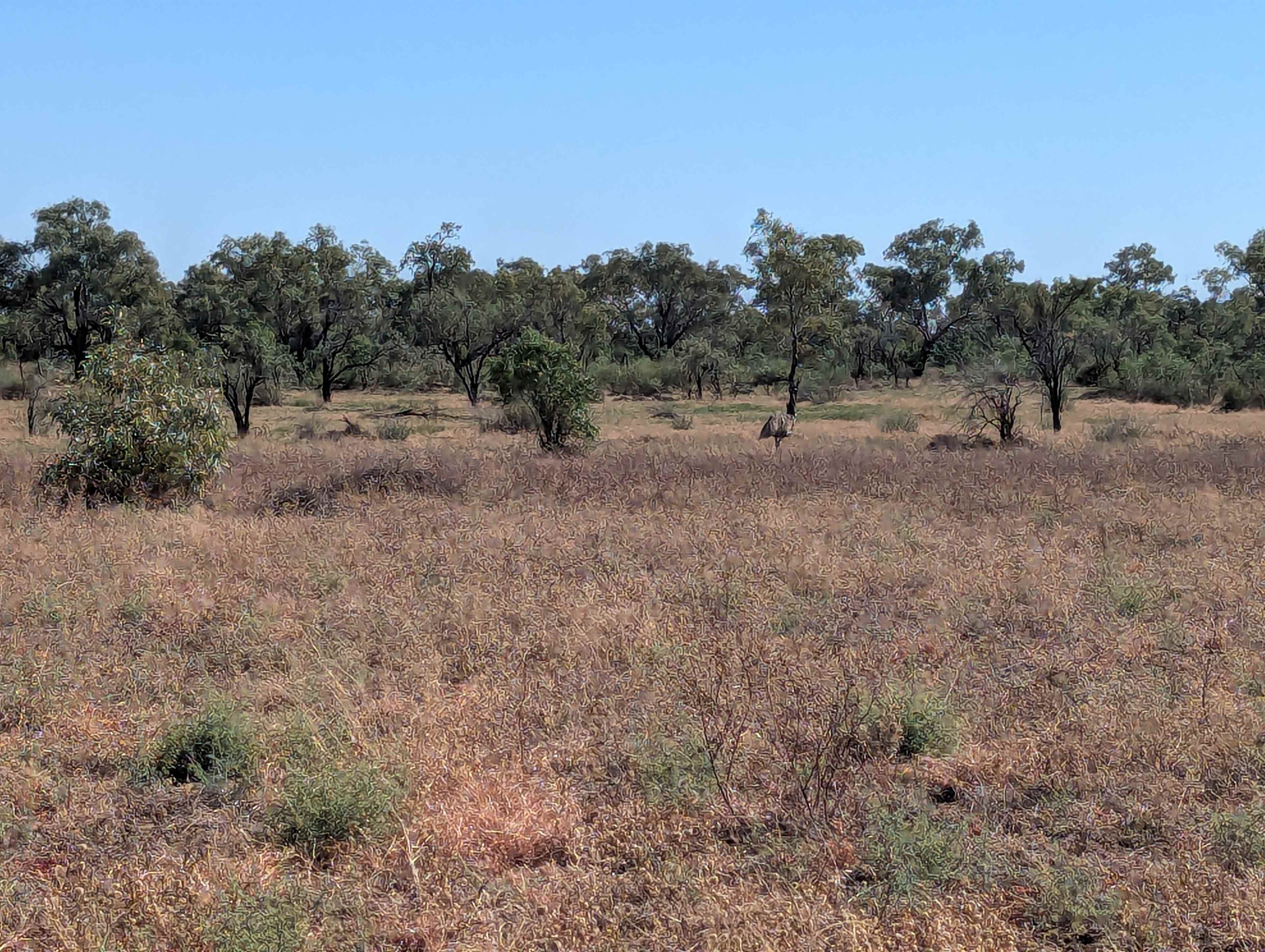 Goodberry Broadwater Campground