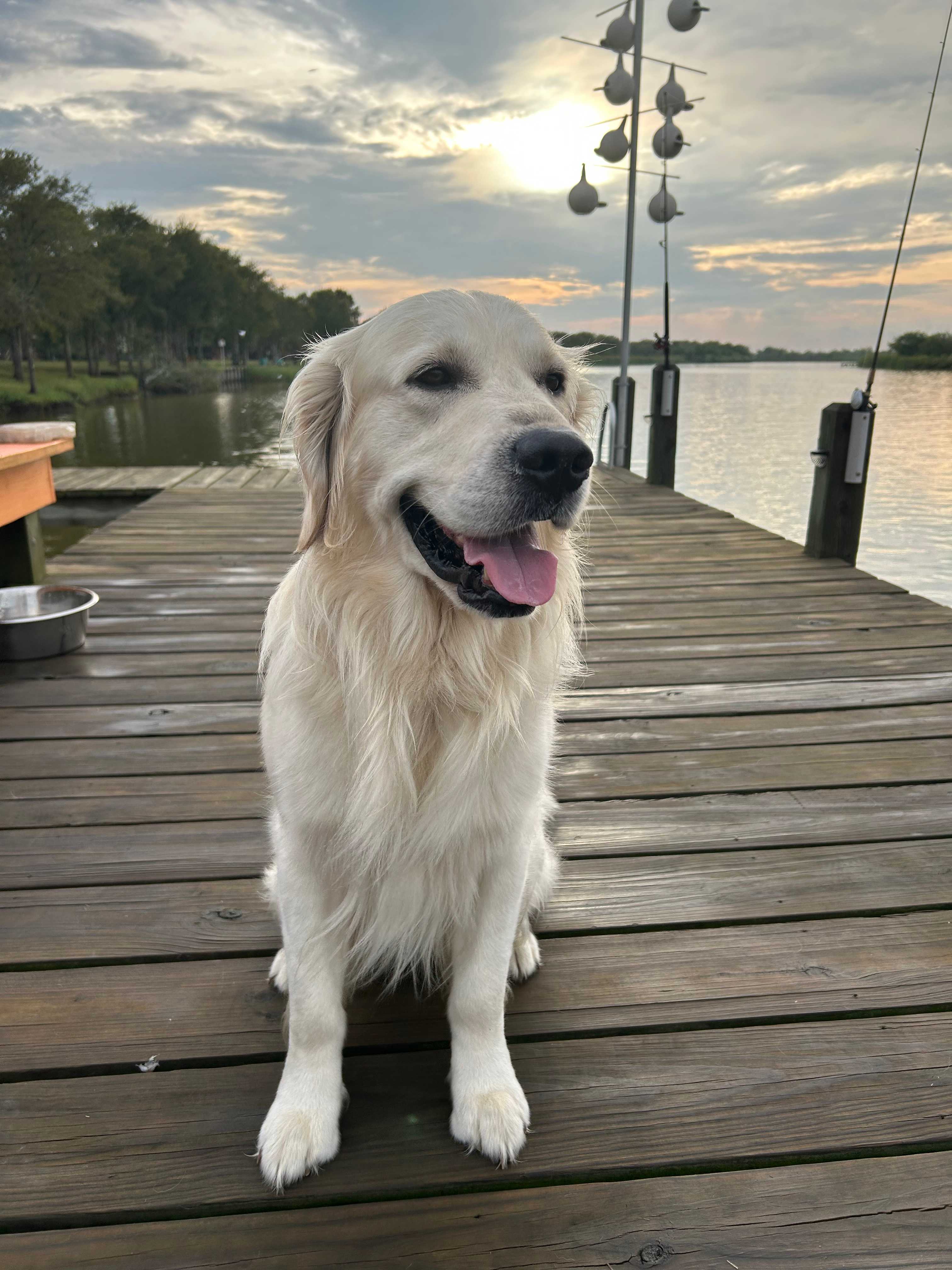 Bella's Place on The Bayou