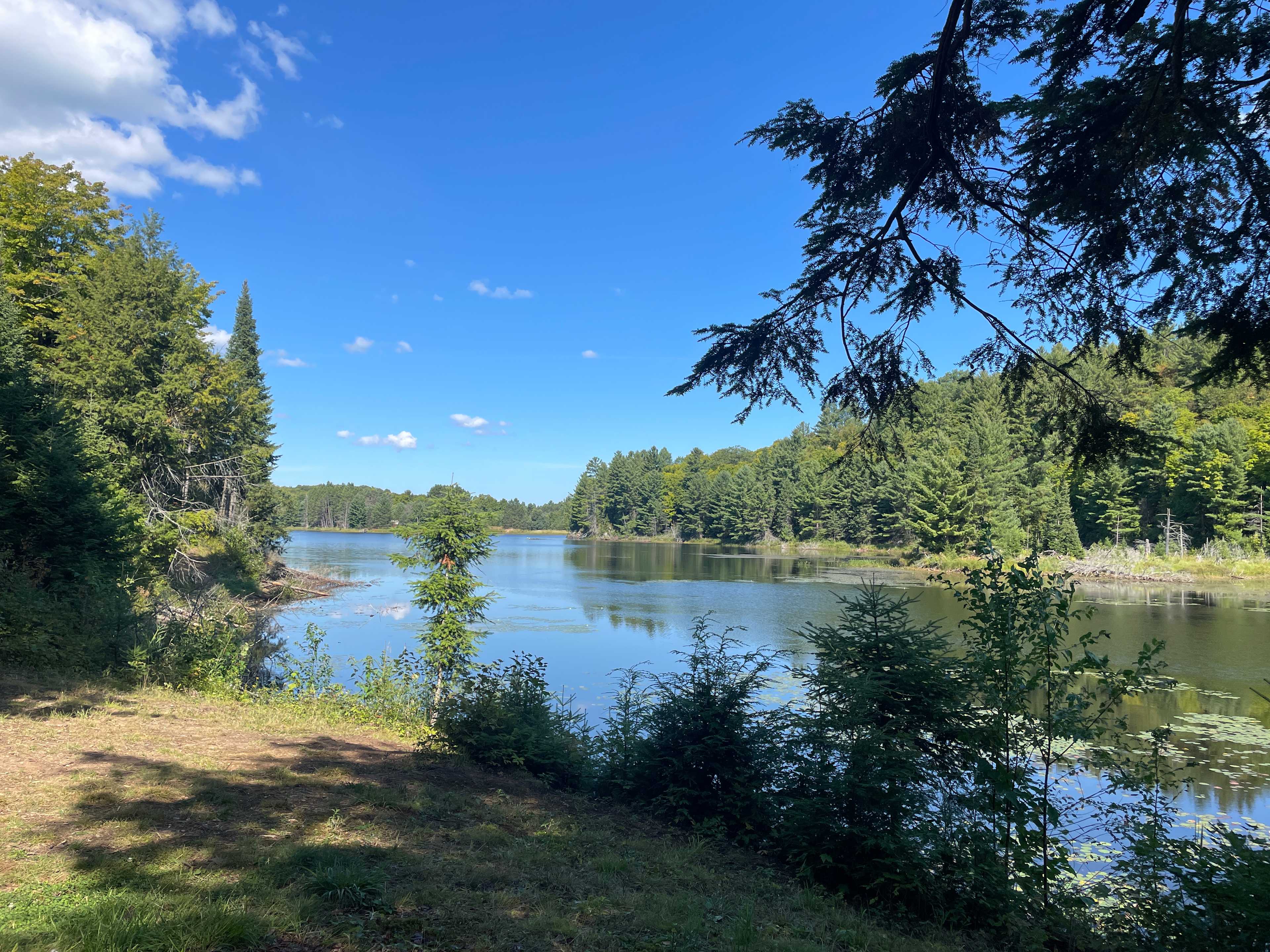 Ball Lake Tent Camping