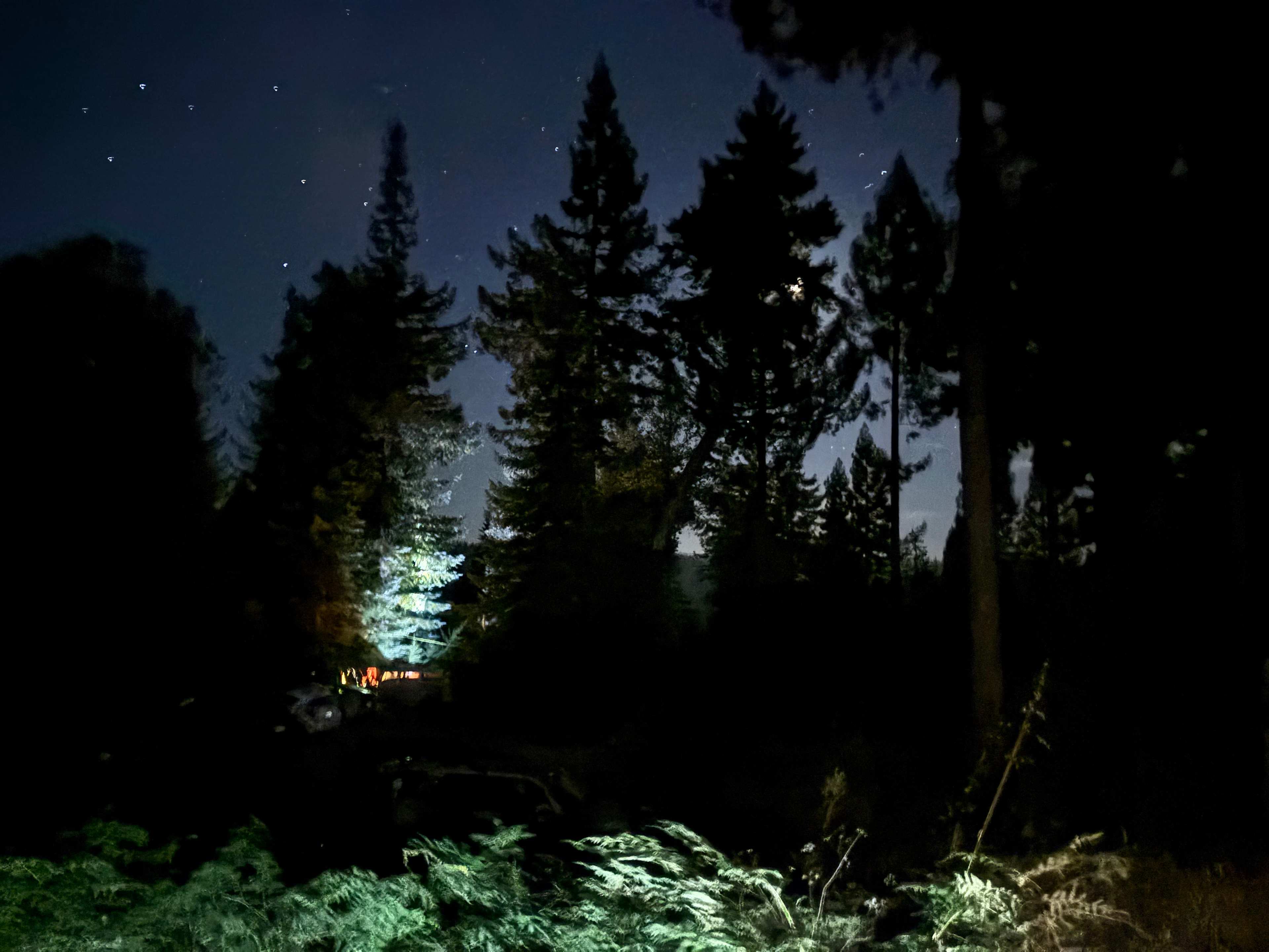 South Facing Ridge With Views