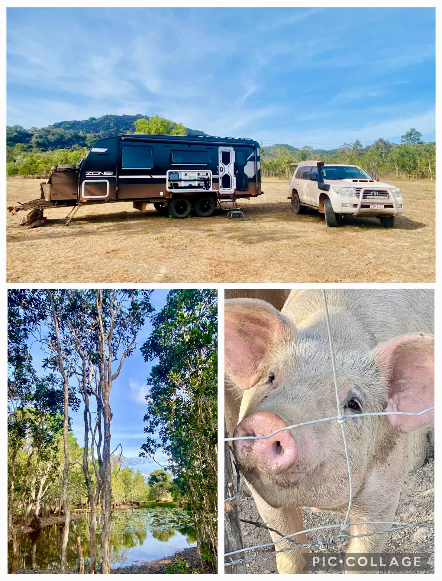 Rossville Retreat Lodges & Camping