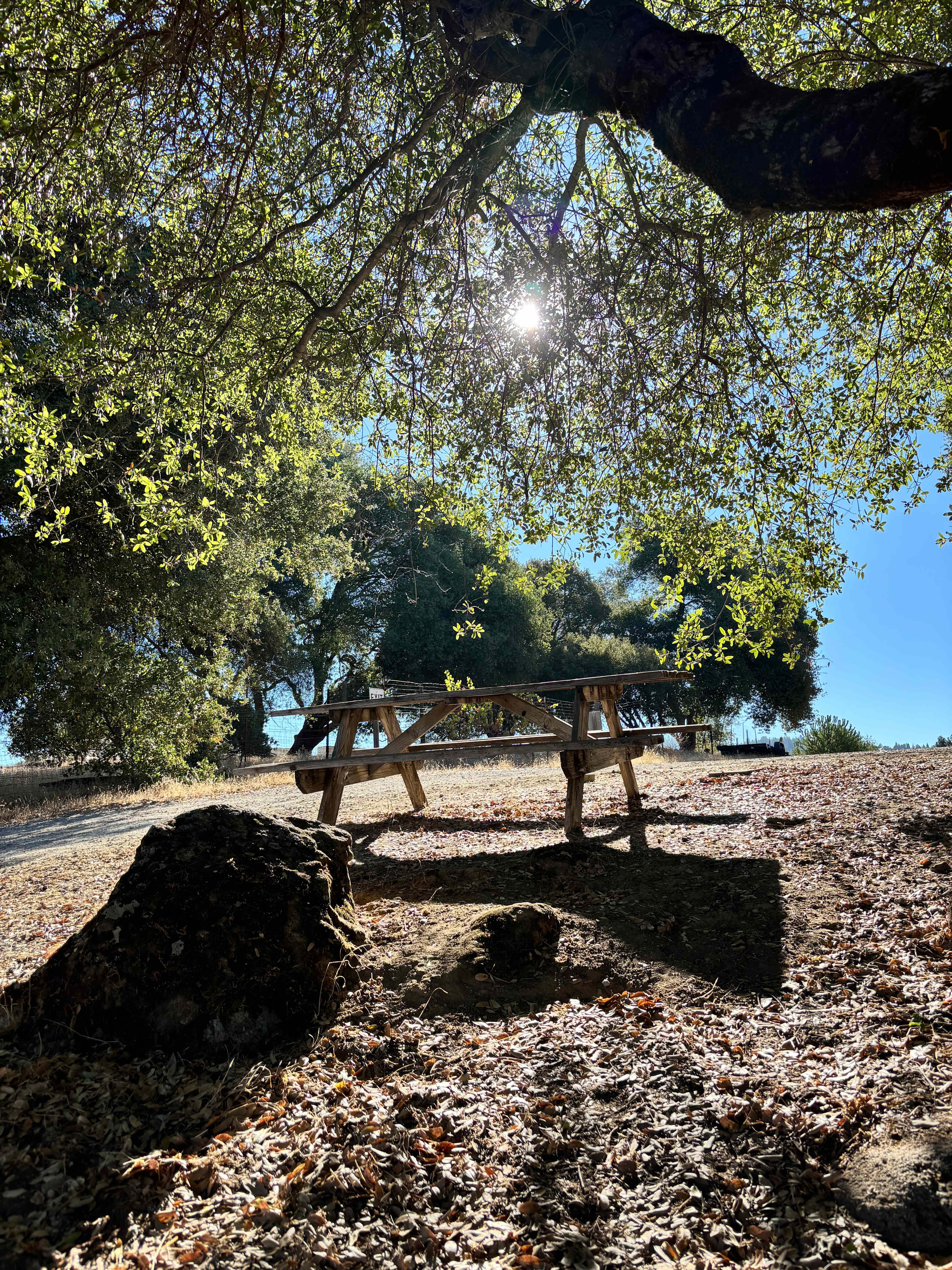 Camp 🏕 Gold Dust Vineyard