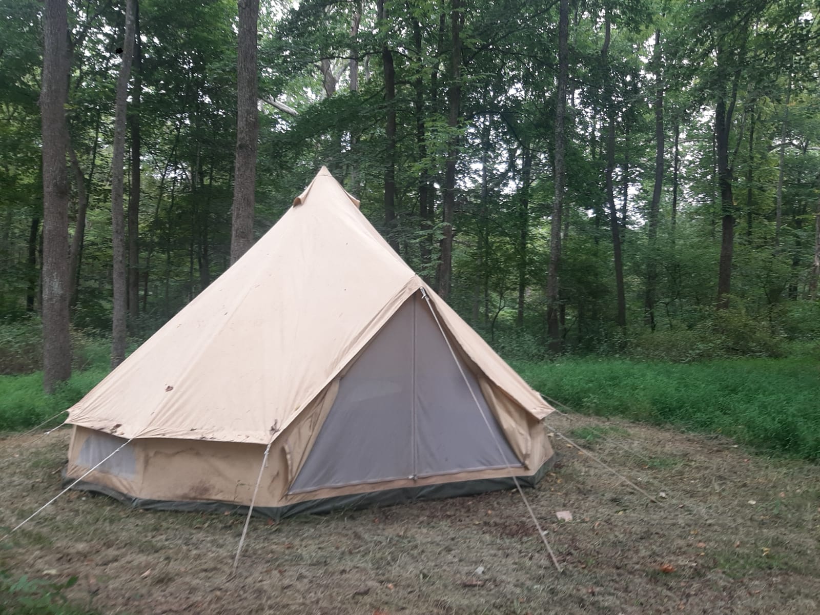 Grampy's Red Rock Rabbit Ranch