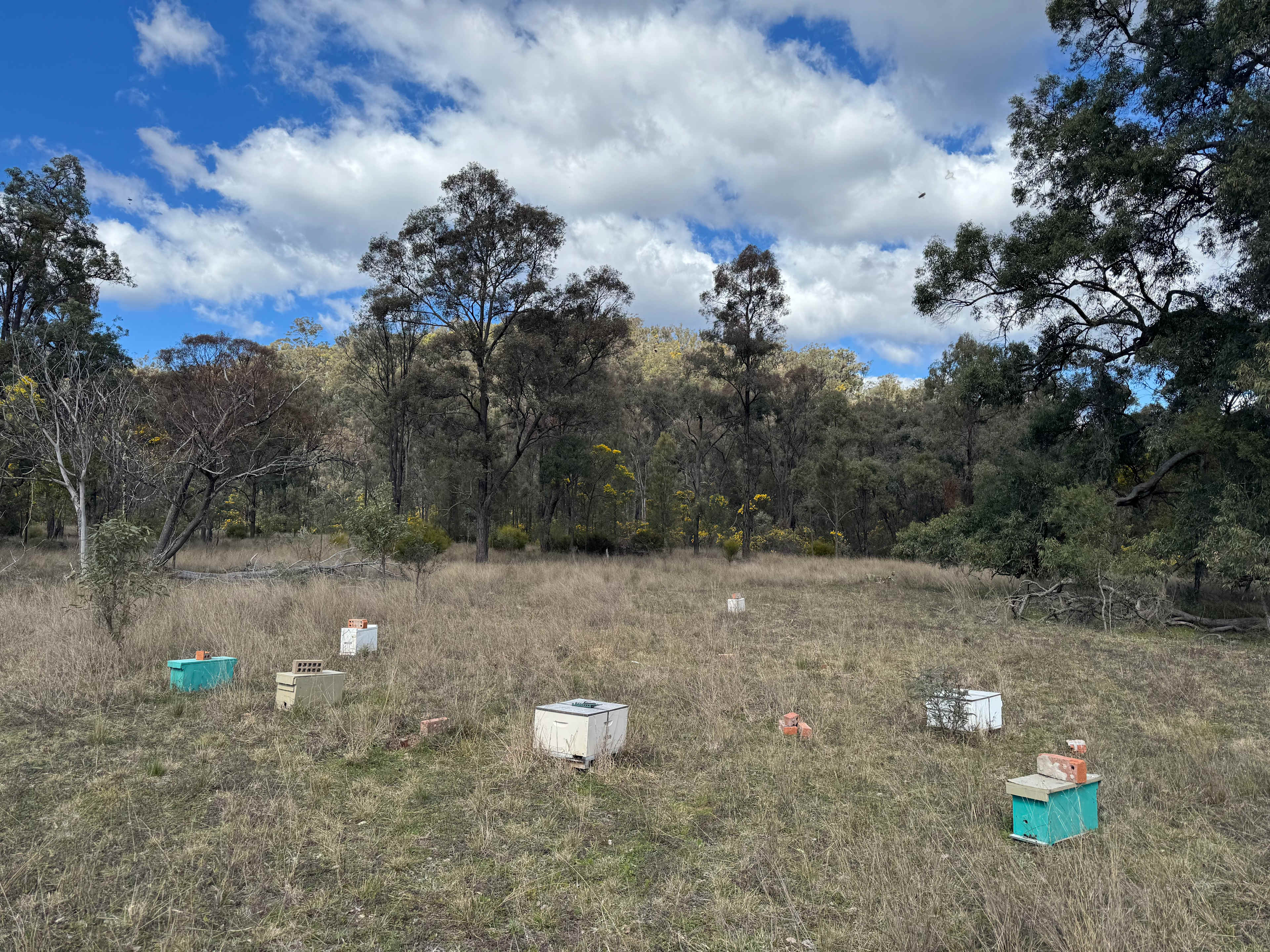 Beelisco Honey Hipcamp