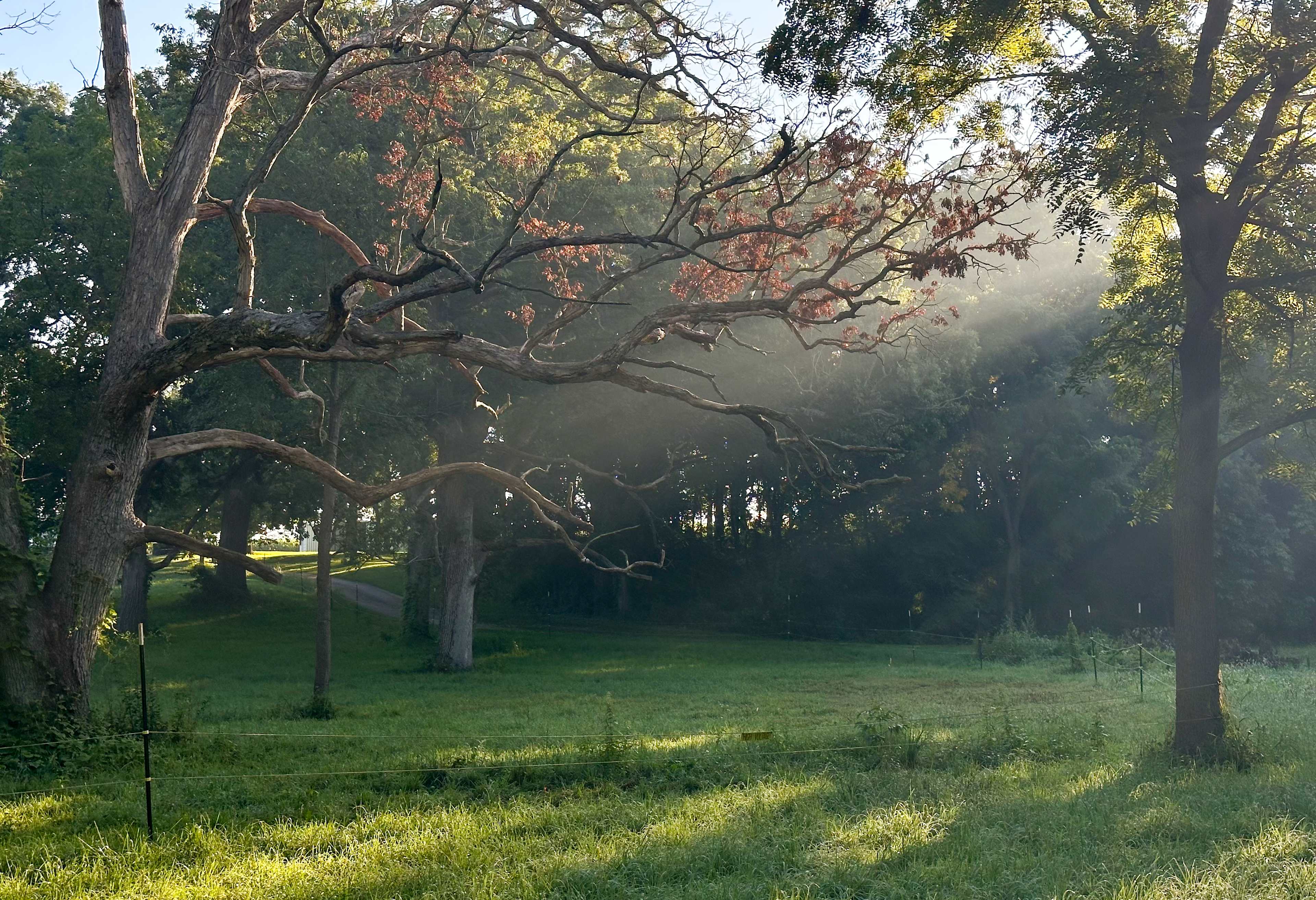 Bear Bottom Ranch