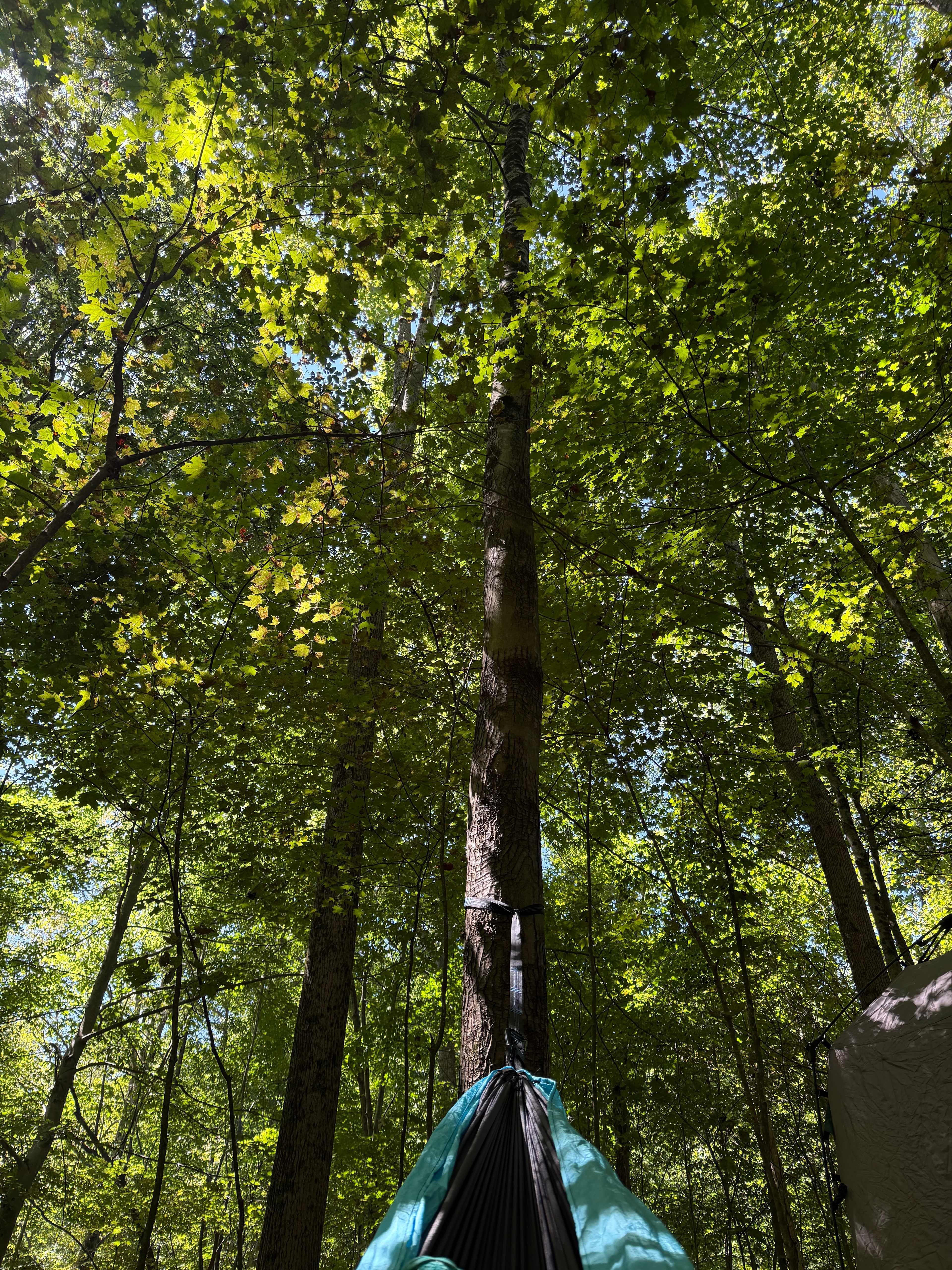 Away From The World Farm