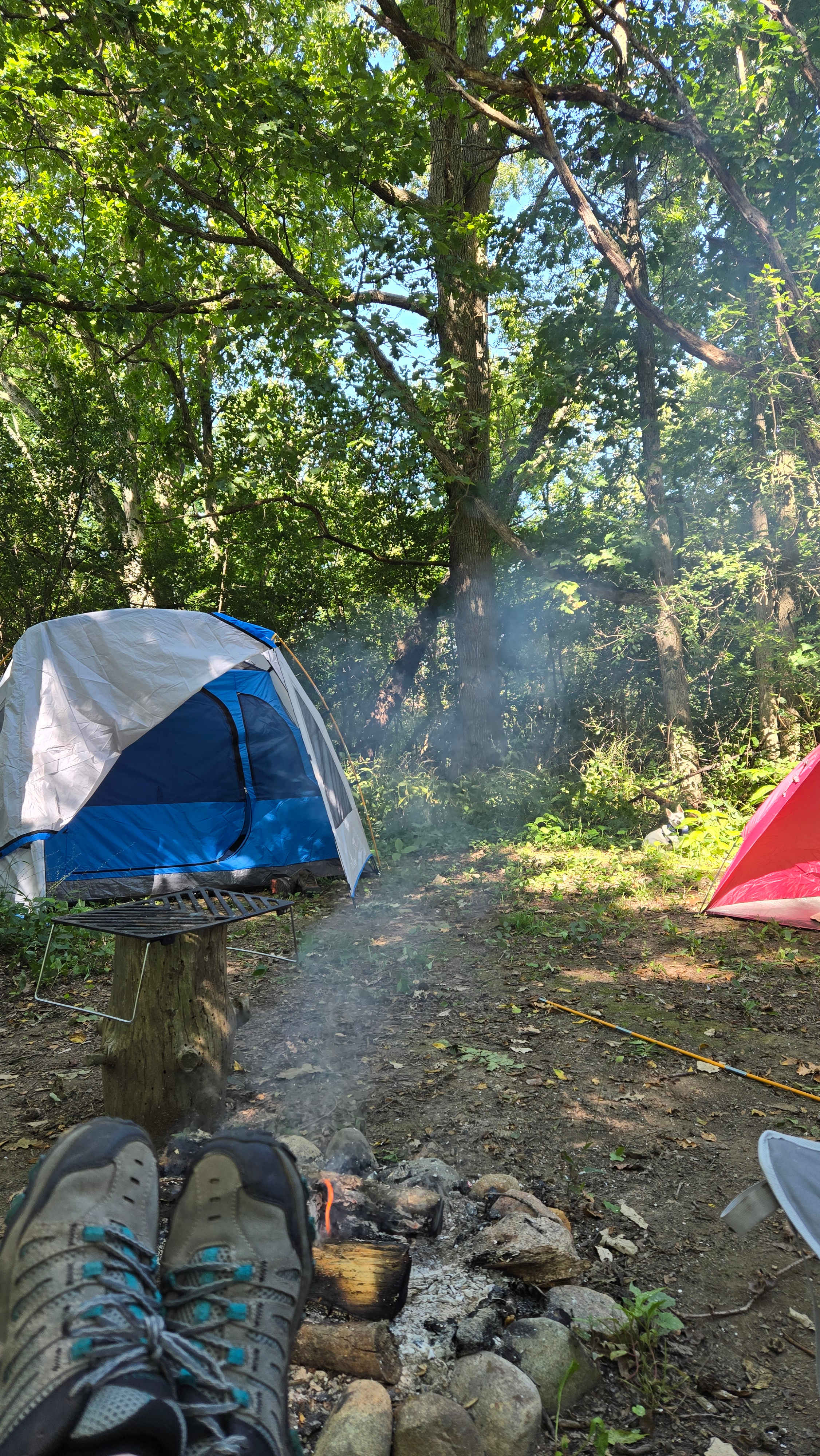 White Pine Farm HipCamping