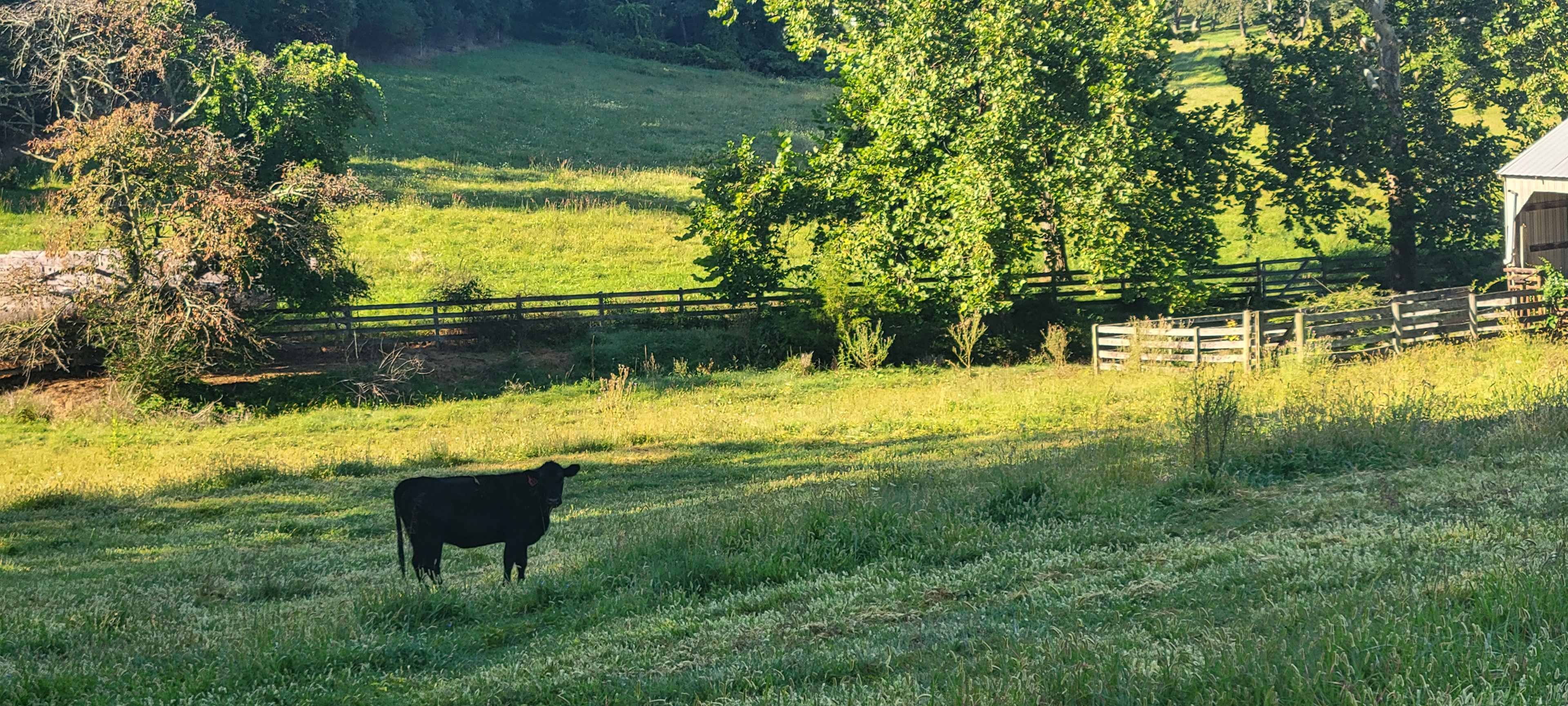 Boondock on the Farm