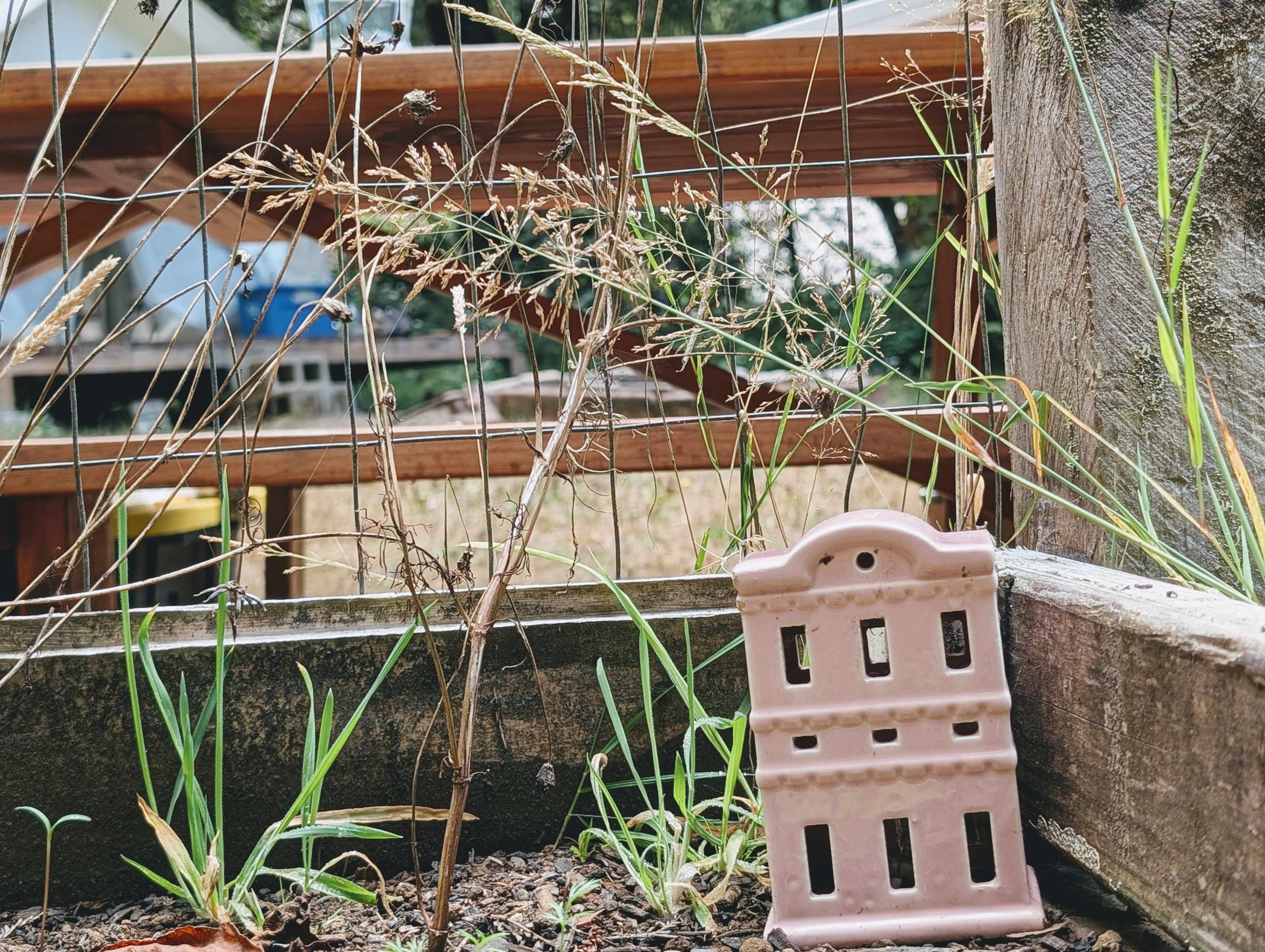 They were so adorable. I had to take pictures of them all