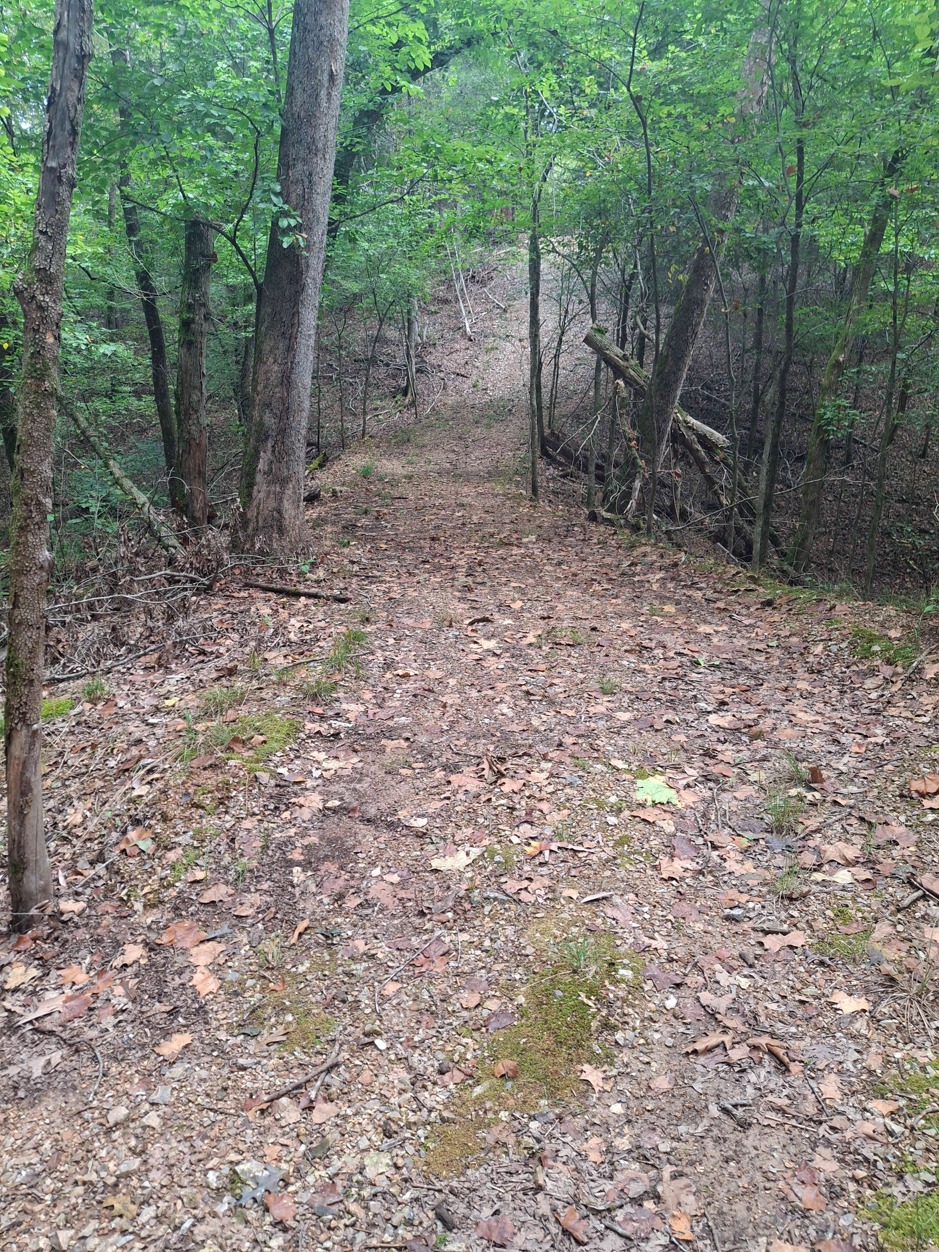 Trail system clear and marked