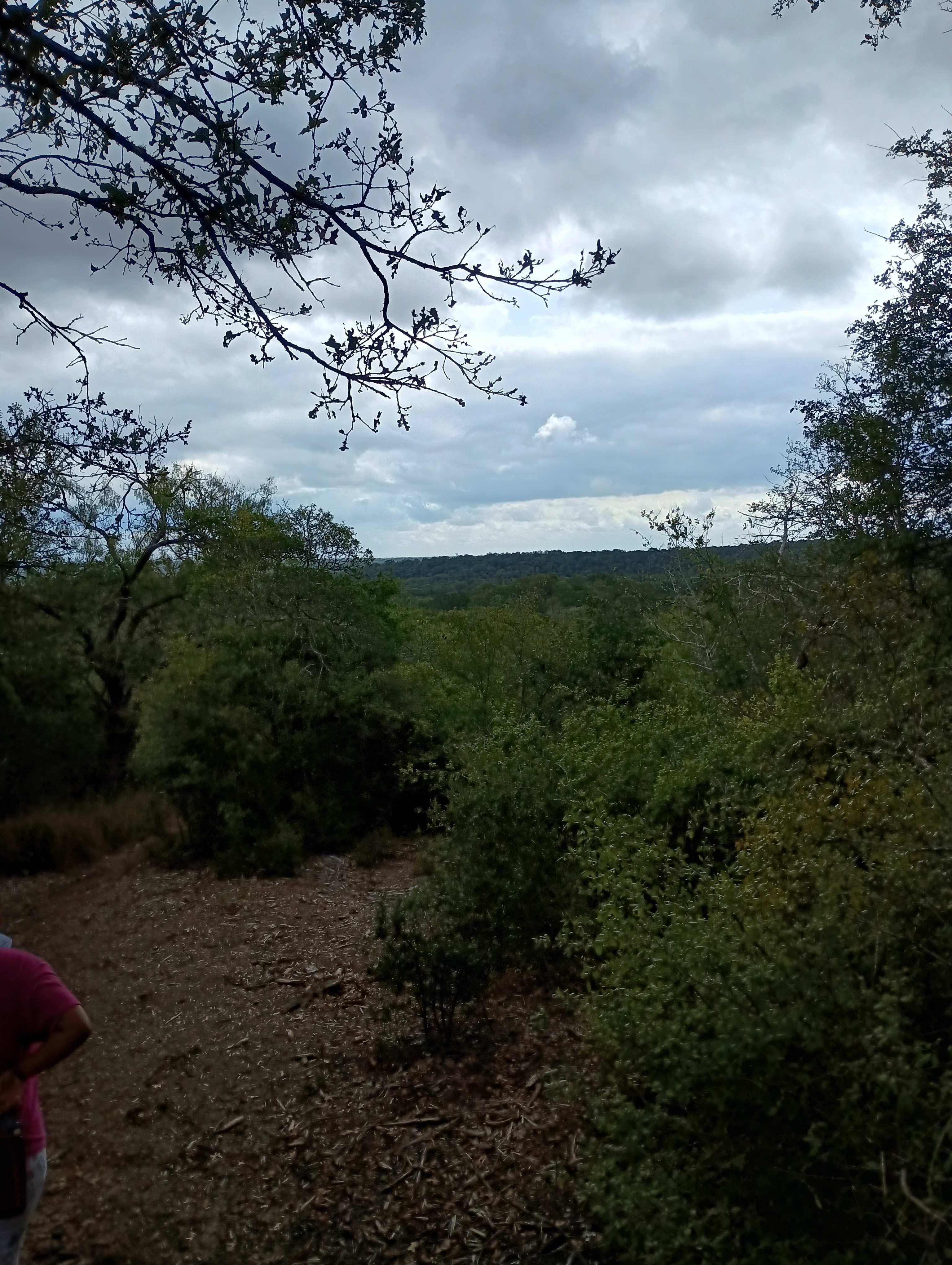 View from the nearby McKinney Roughs horse trail.