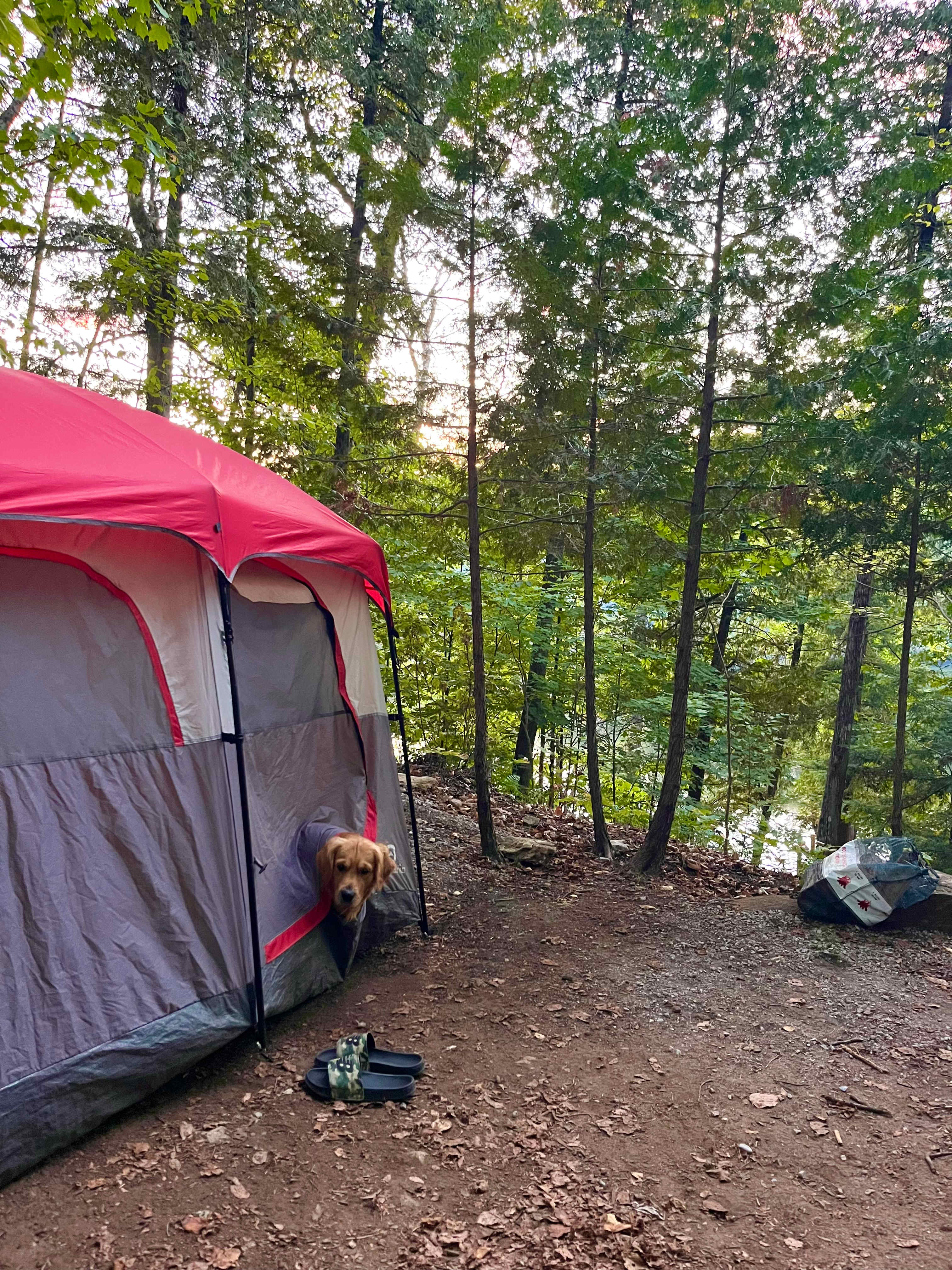 Tiny Village Woodland