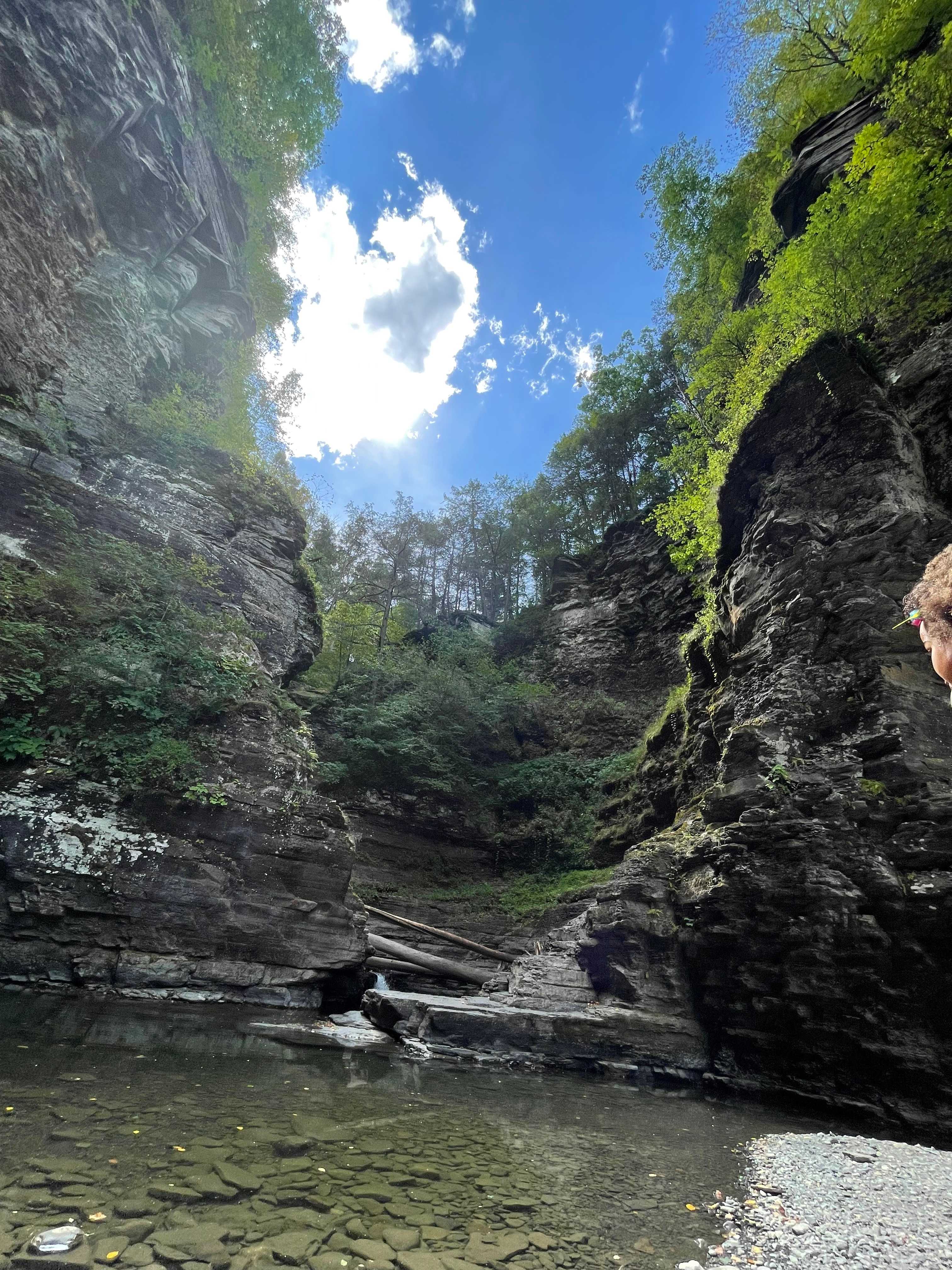 Waterfall Sanctuary & Quiet Retreat