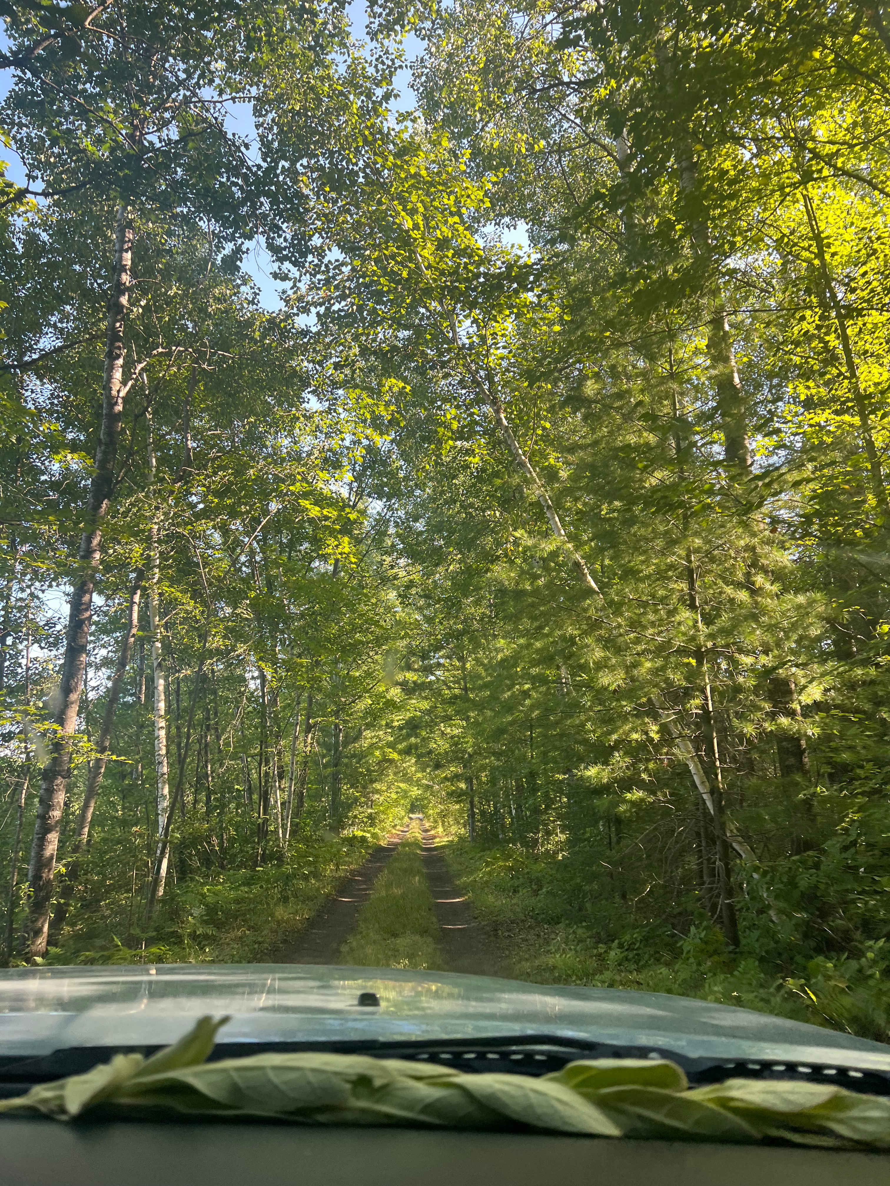 Northern Lights Cabin