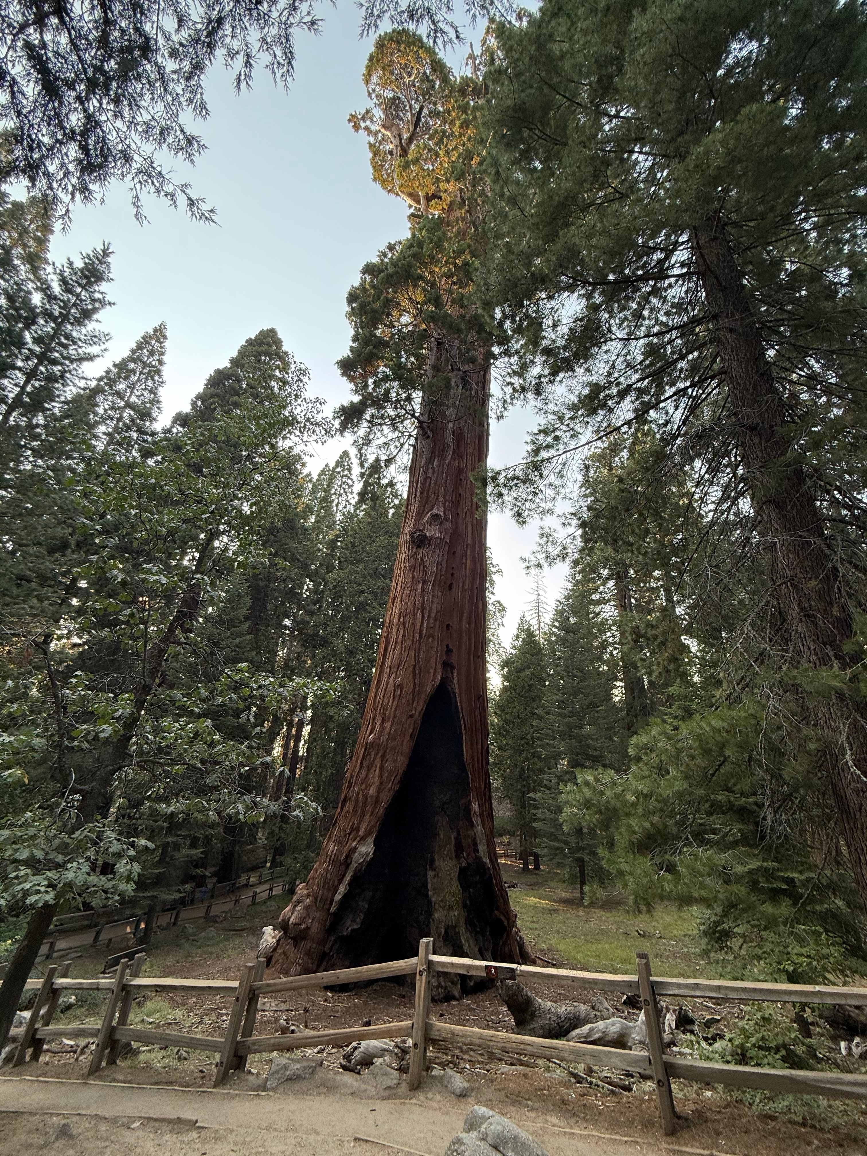 Cyndi's Snowline Camp & Lodge